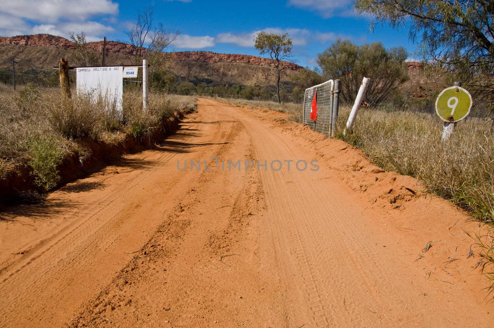 bush and road on the outback, northern territory australia