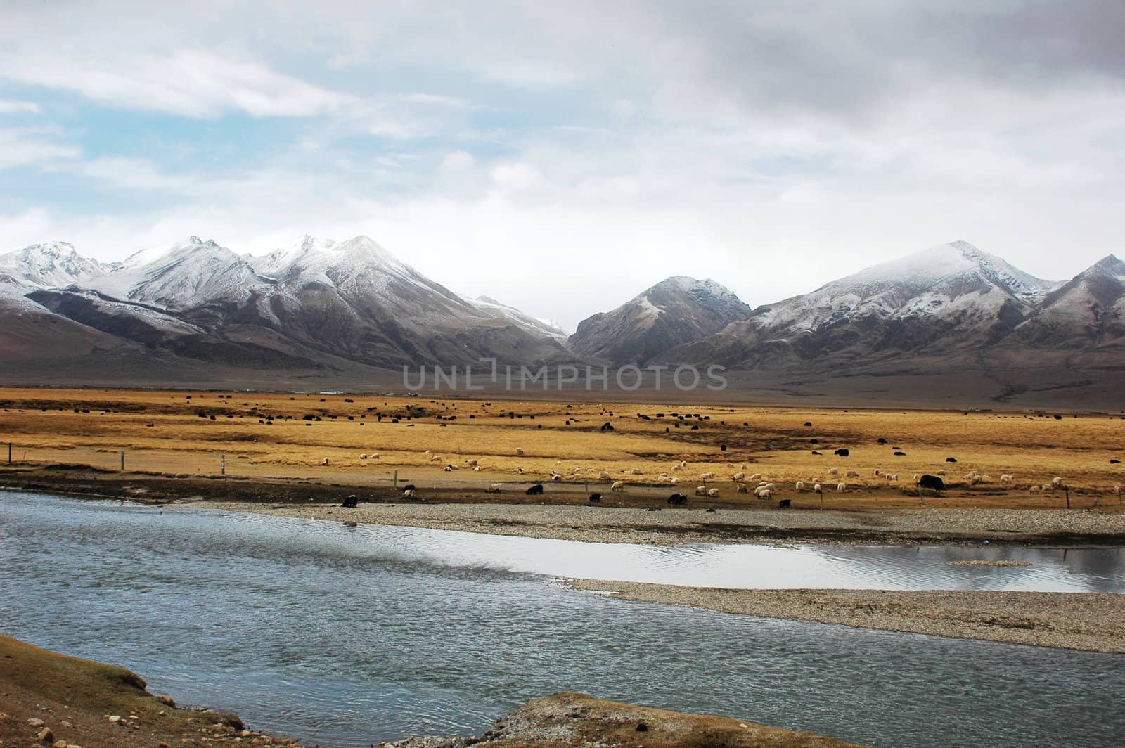 Landscape of snow mountains and stream in Tibet