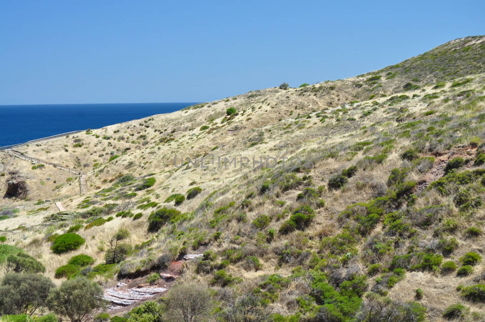 Grassy hill, landscape. Hallett Cove, Australia.