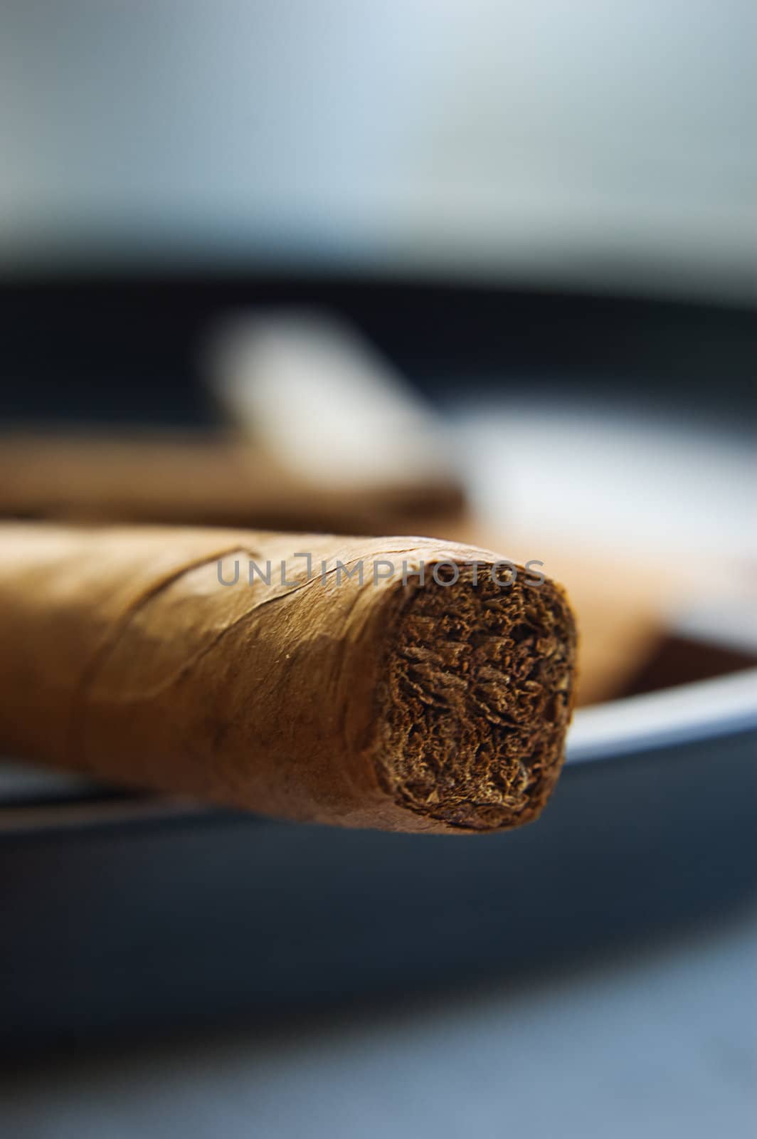 A cigar in ashtray by Angel_a