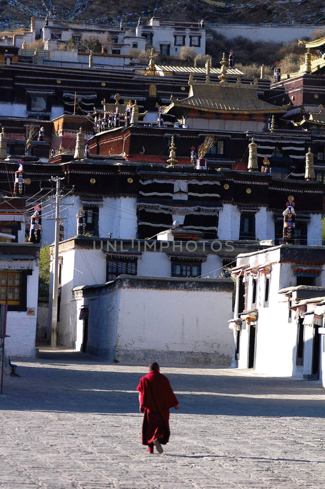Landmarks of a famous historical Tibetan lamasery