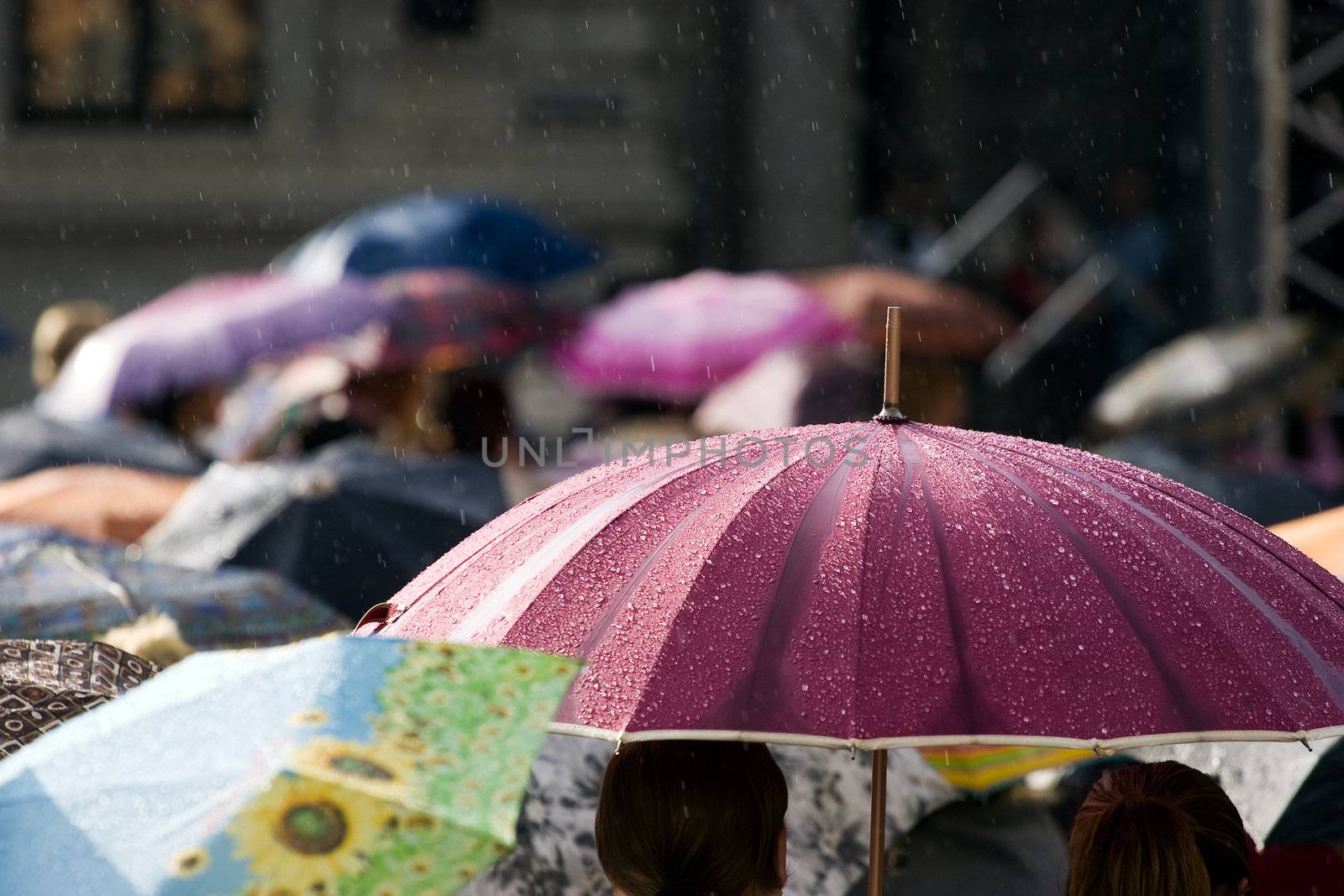 Crowd of people with umbrellas by ints