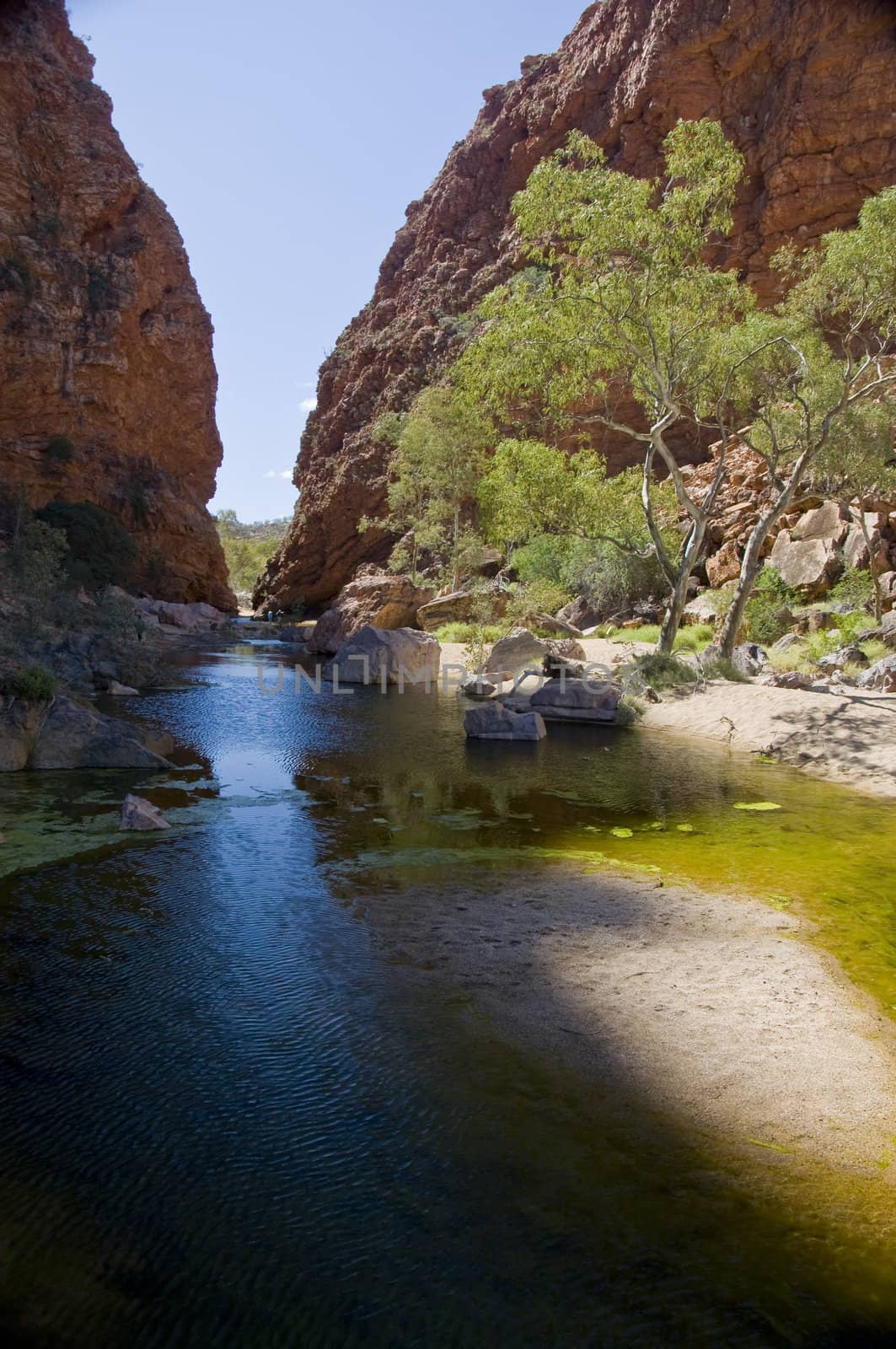 desert pond in the red center desert, northern territory australia