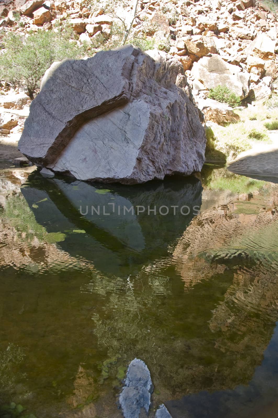 desert pond in the red center, northern territory, australia