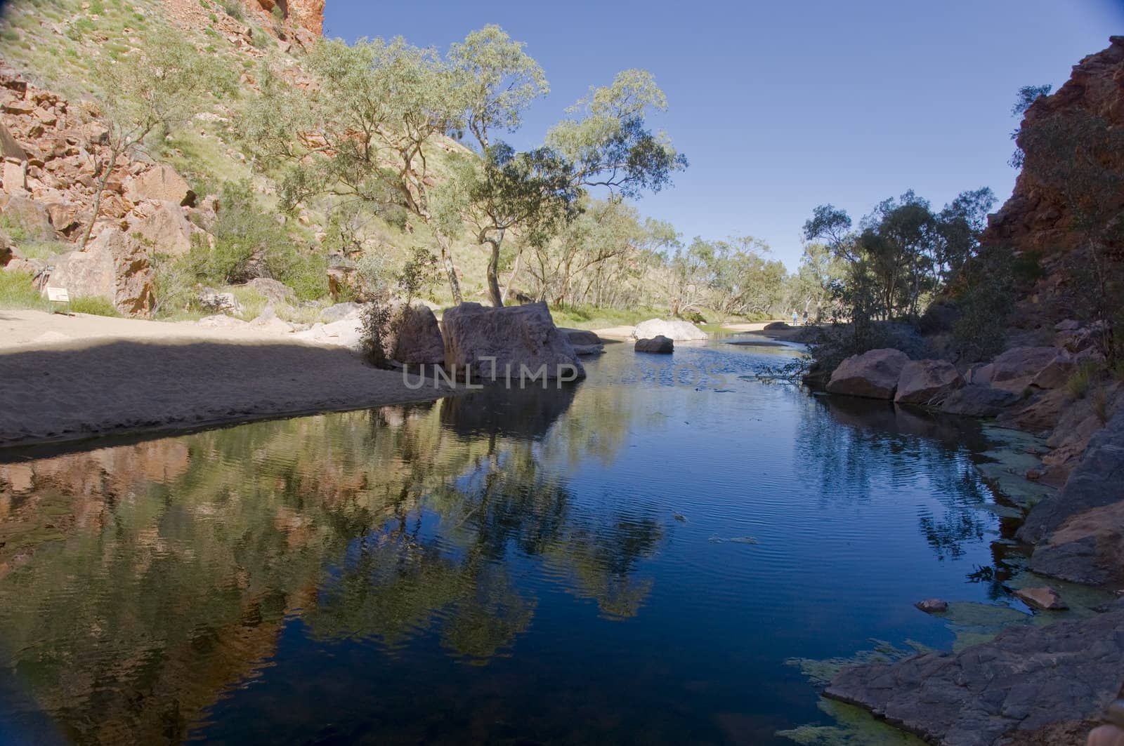 desert pond in the red center, northern territory, australia