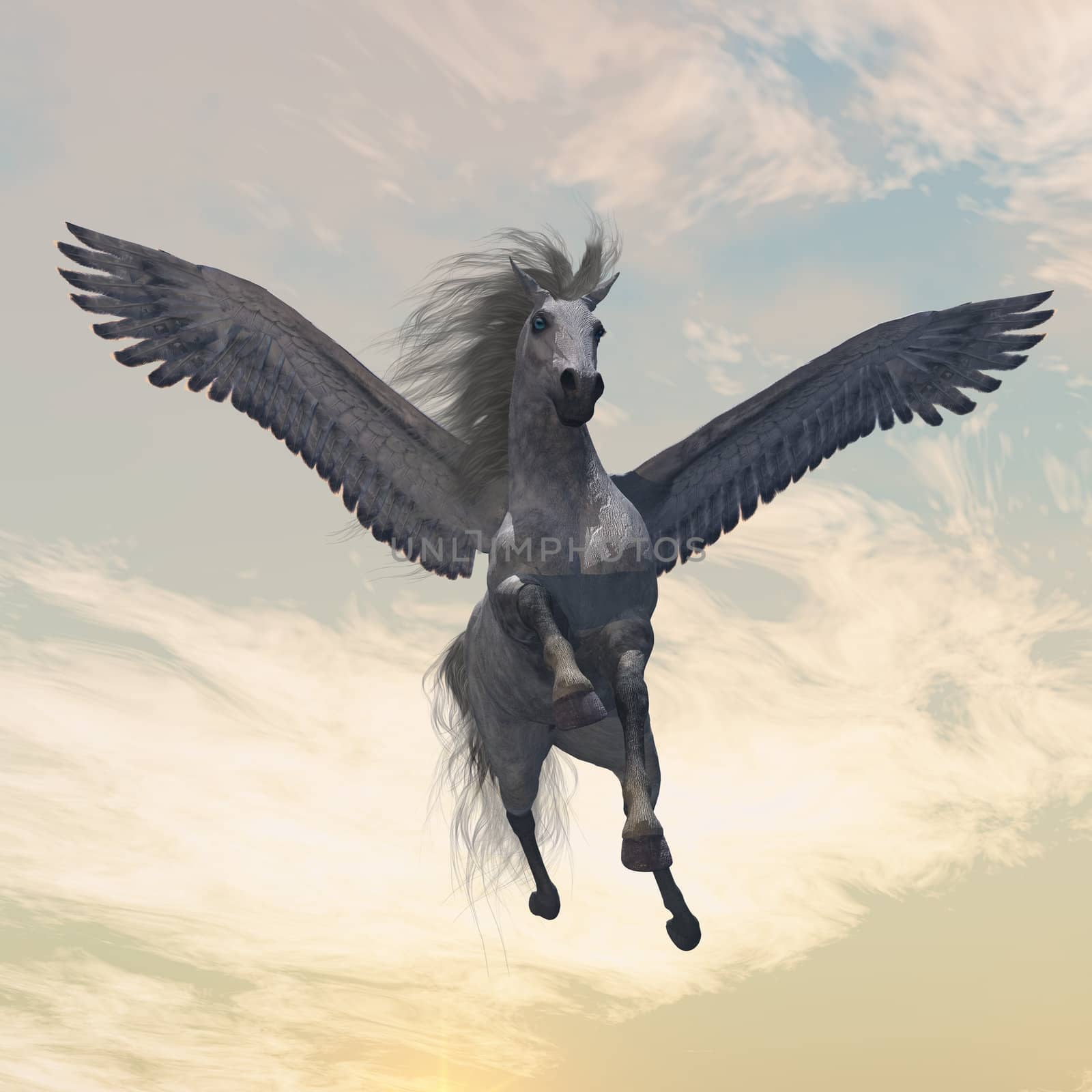 The fabled creature of myth and legend, the white Pegasus, flies with beautiful wings.