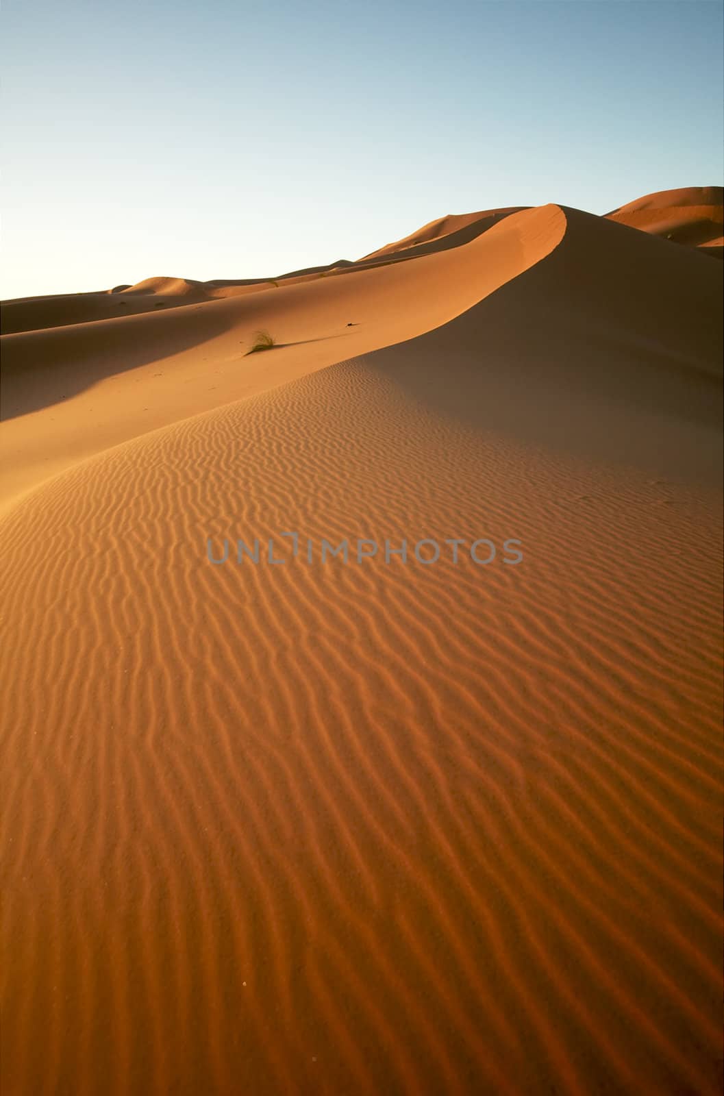 Sand dune by t3mujin