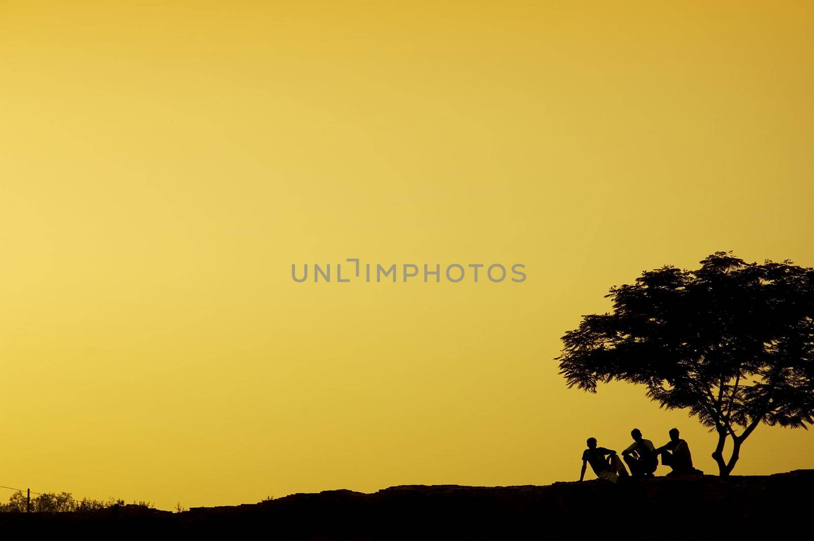  silhouette of three man relaxing beside a tree in sunset
