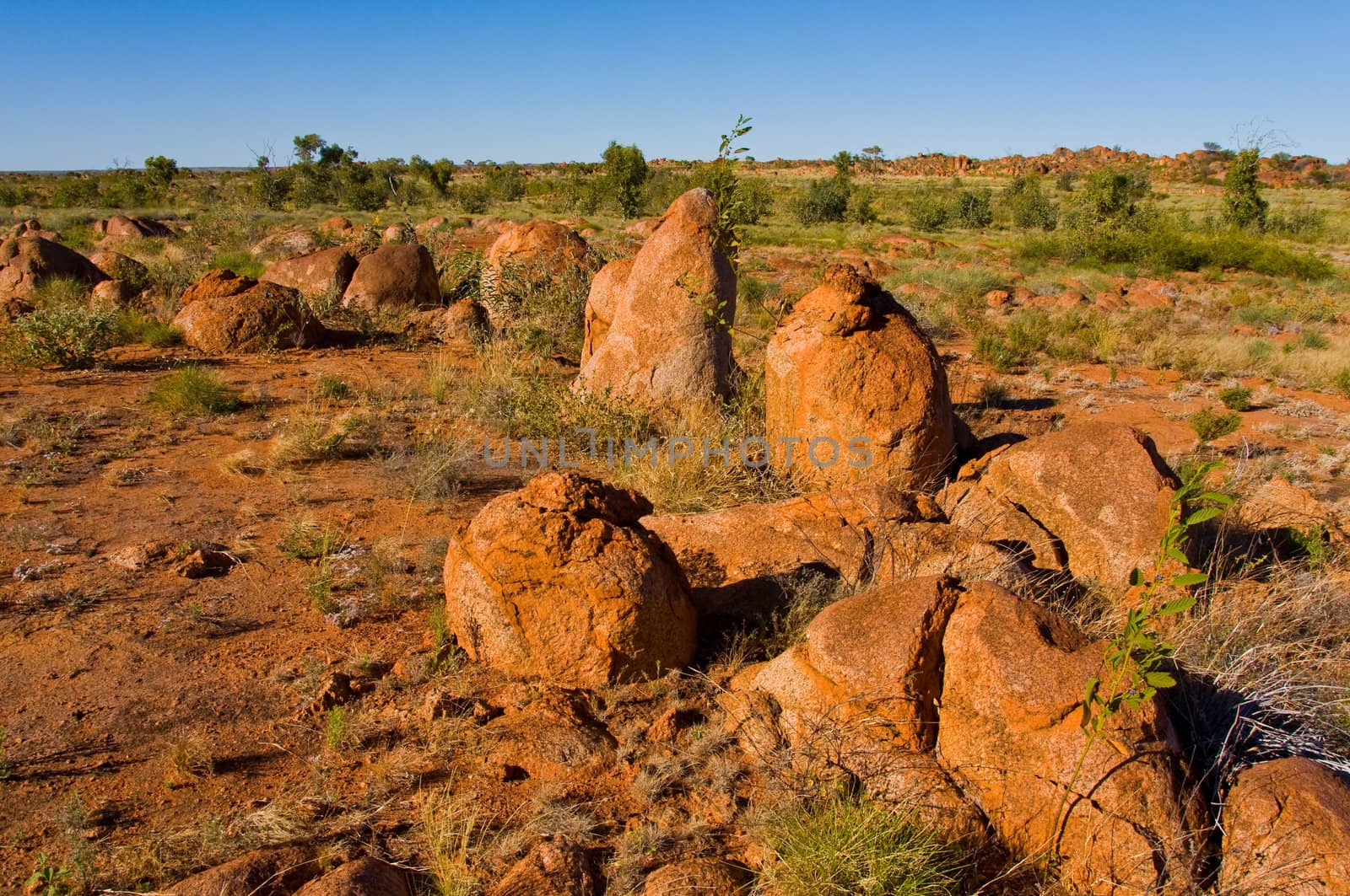 landscape in the australian outback, northern territory