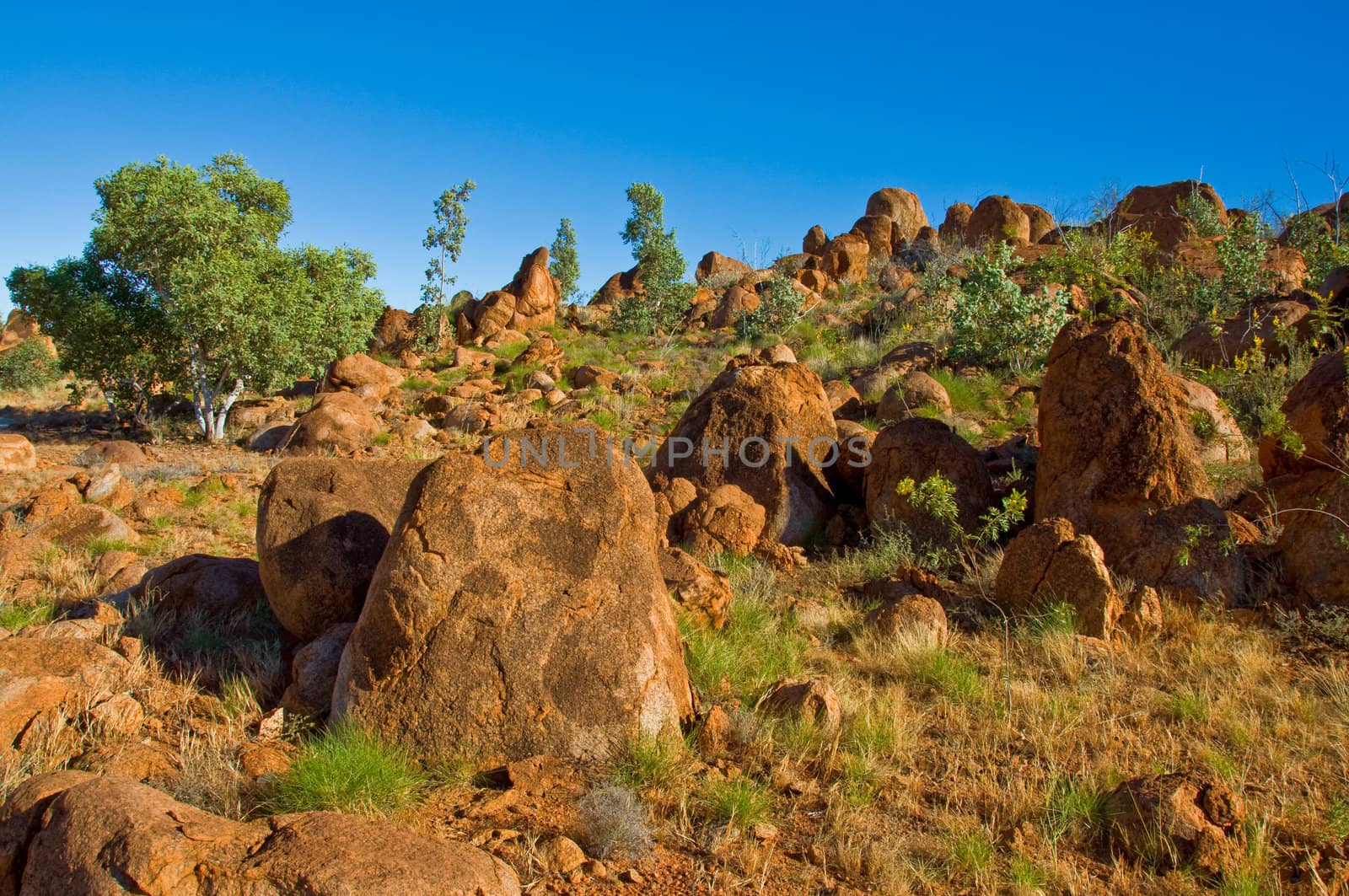 landscape in the australian outback, northern territory