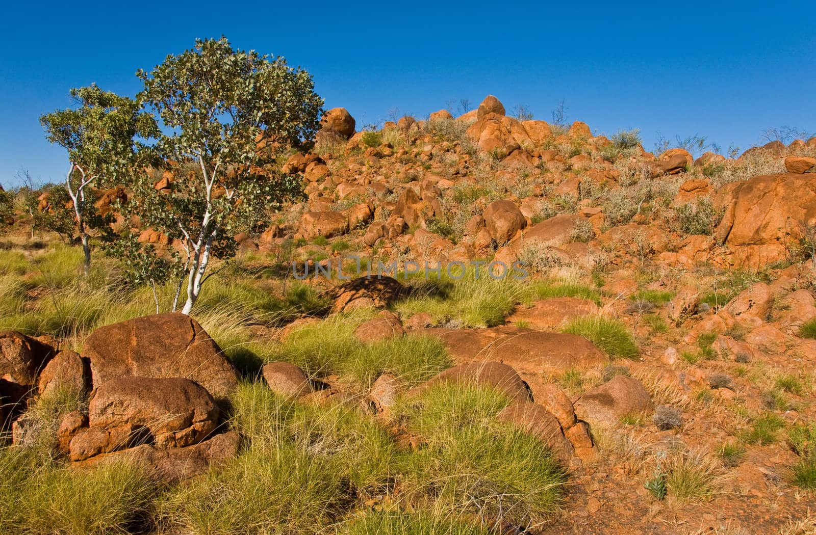 landscape in the australian outback, northern territory