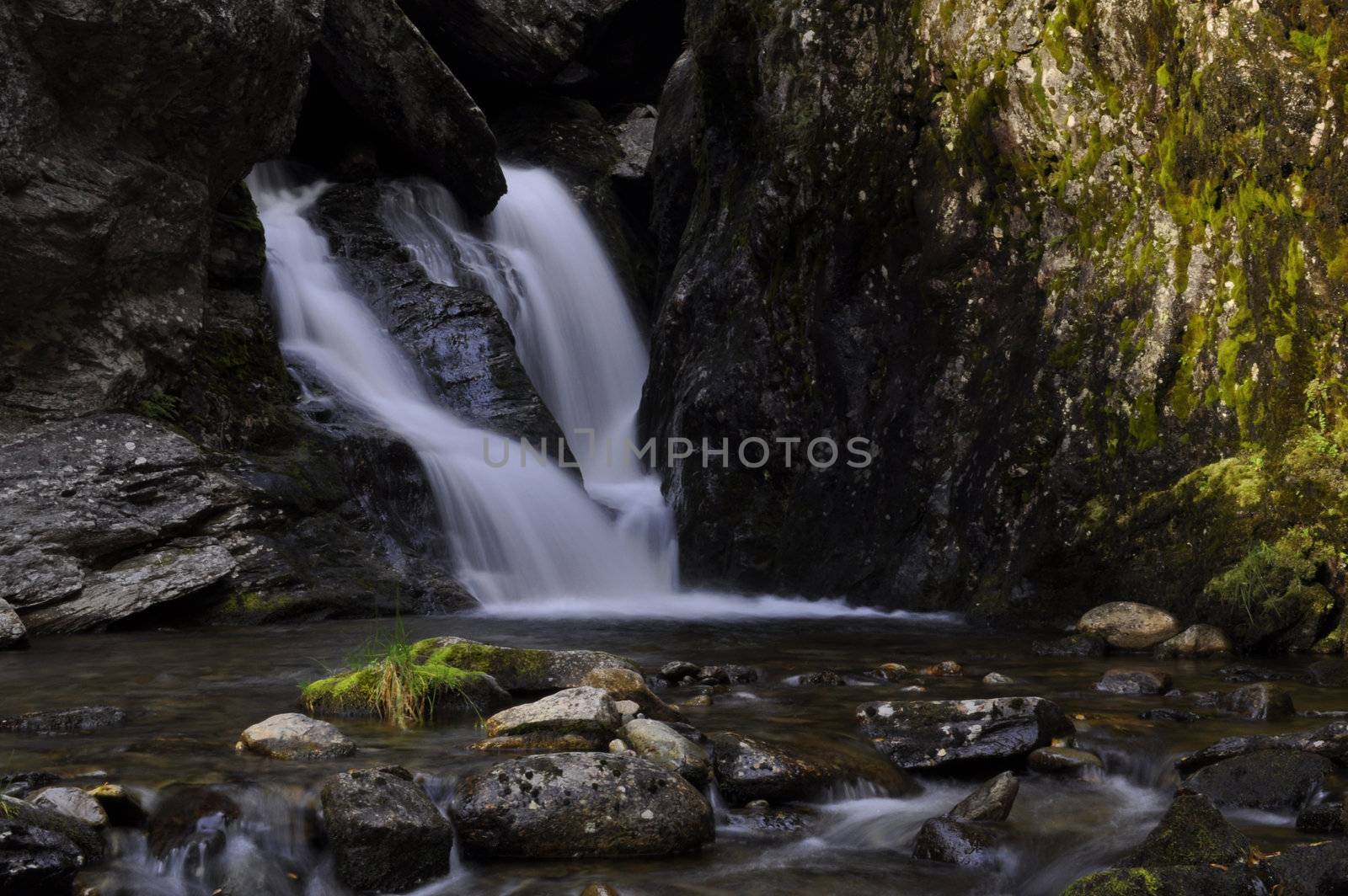 waterfalls in a mountain brook