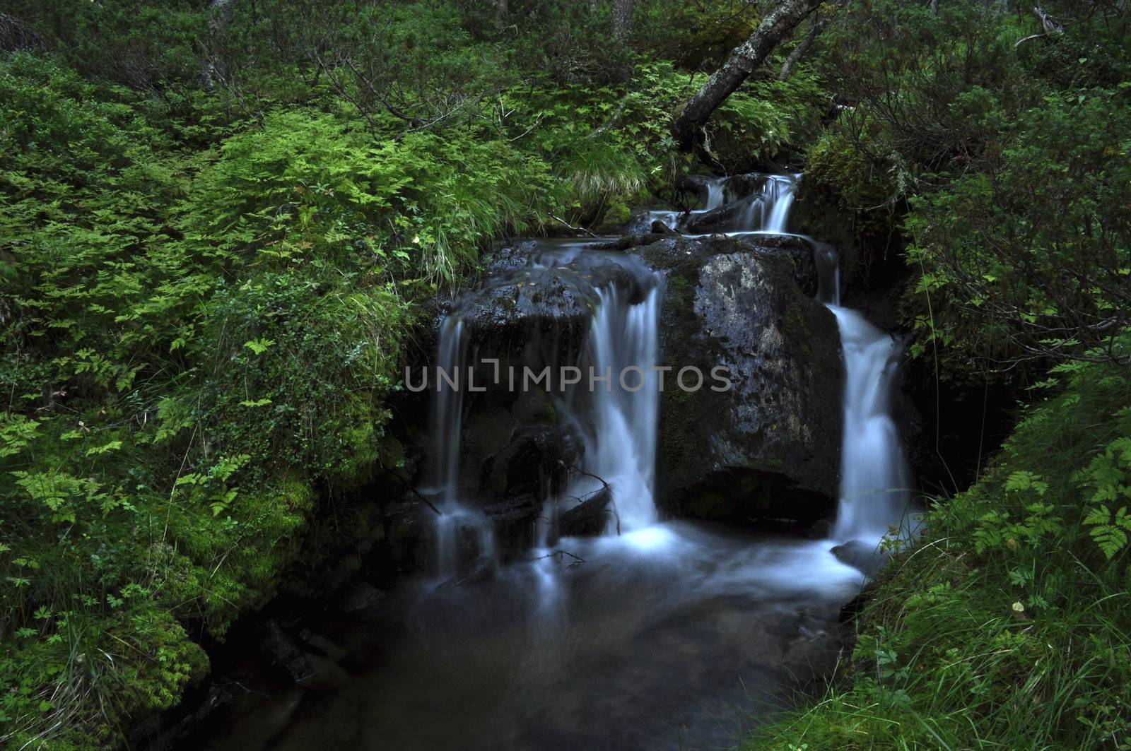 waterfalls in a mountain brook