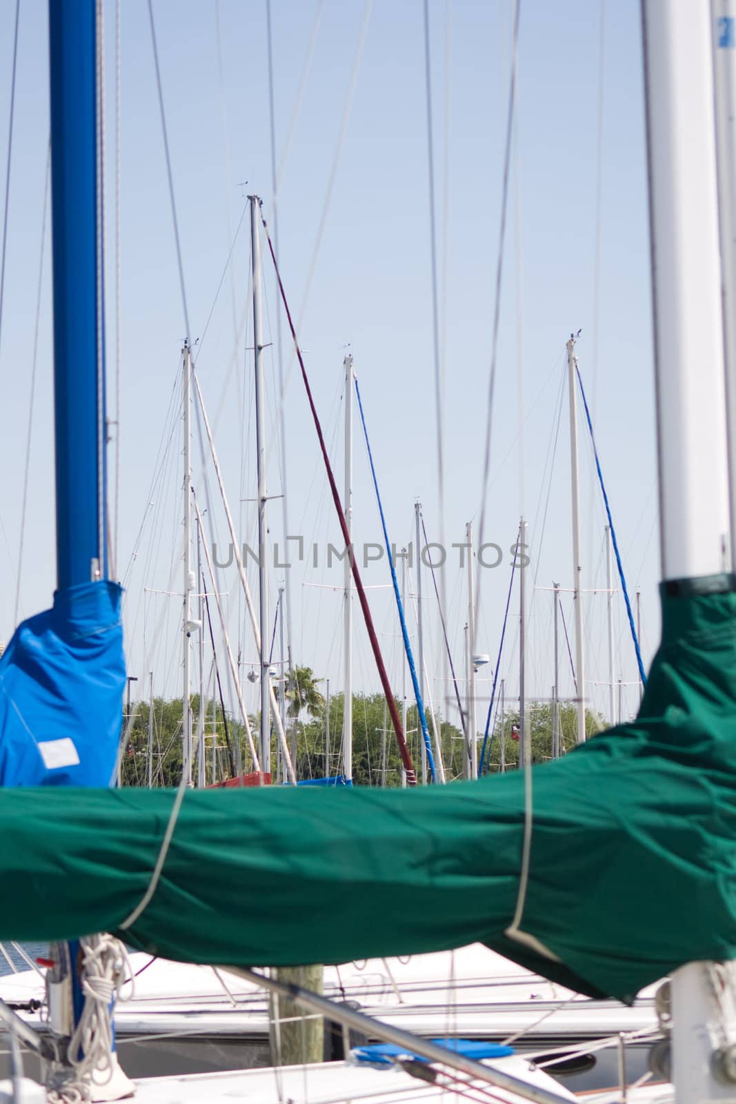 Sailboat Masts and Booms captured at St. Petersburg Marina with blue and green sail covers and lines beautifully framed.
