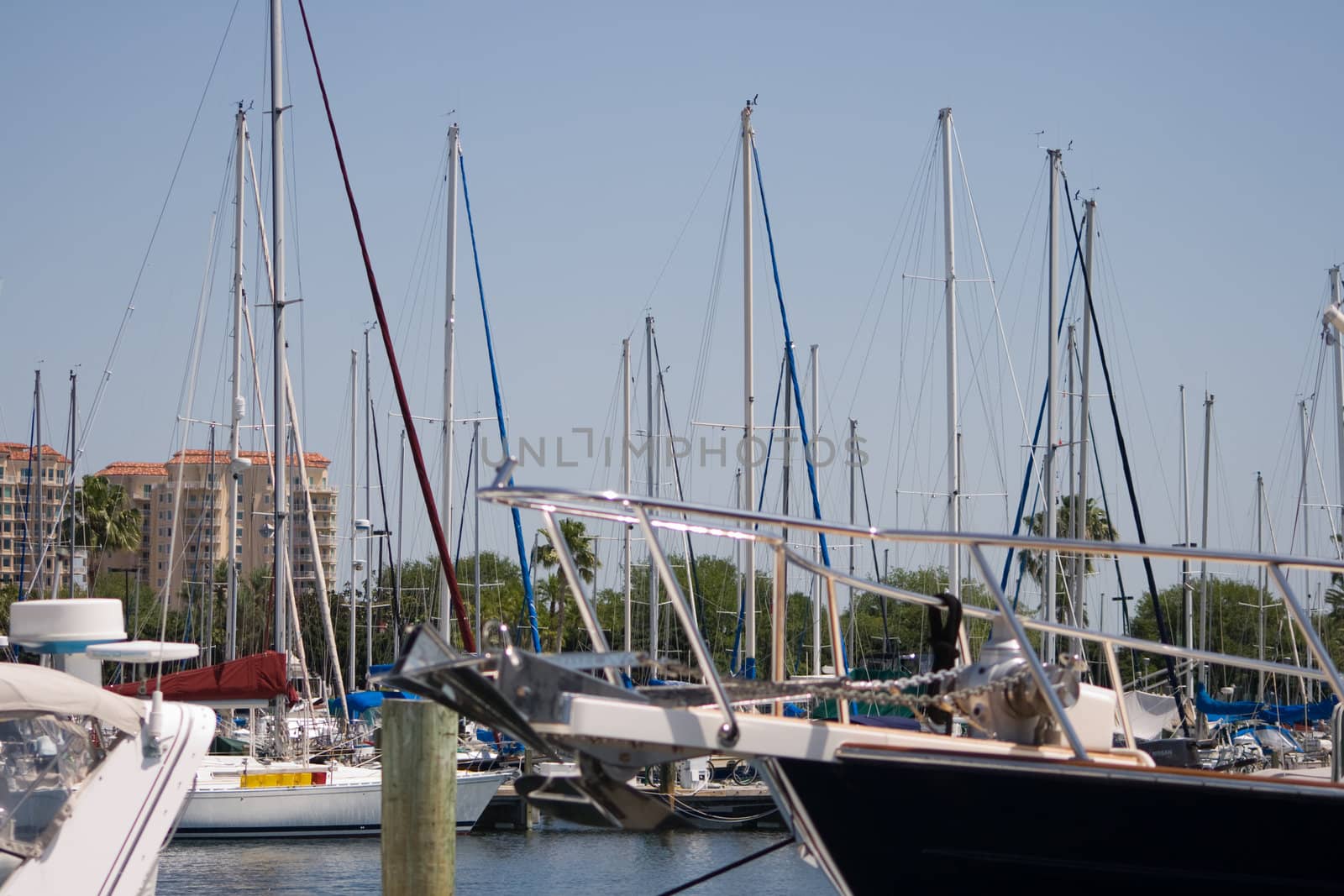 St Petersburg Marina Sailboats captured in Florida. Several Yachts Sails Masts and Rigging are visible set against blue sky and blue water.
