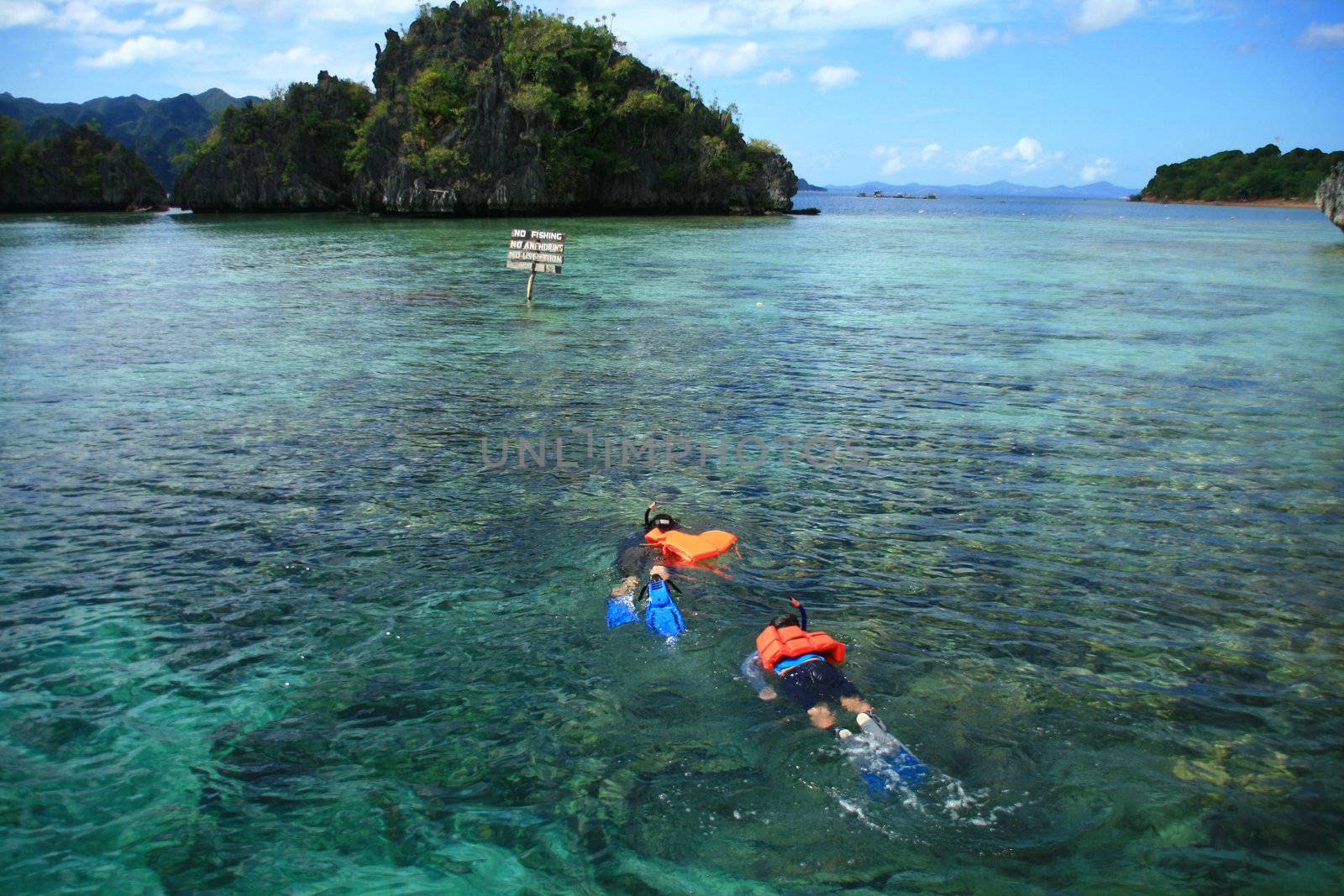two snorkelers exploring the beauty of underwater marine life
