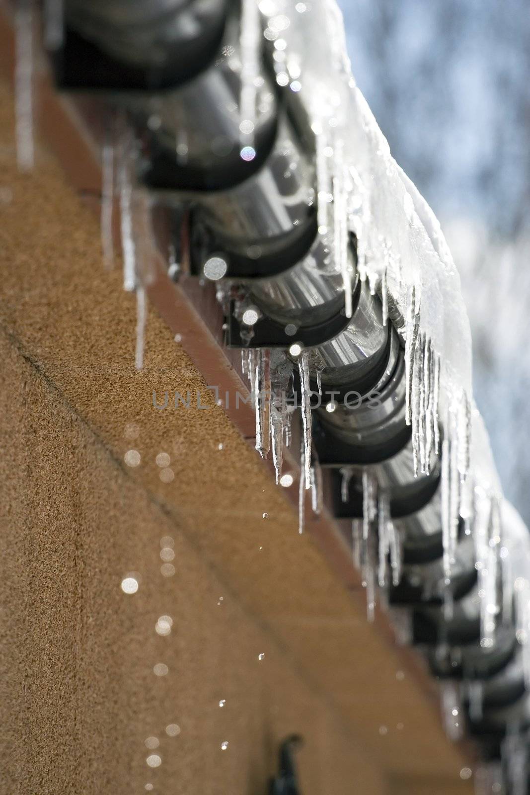 Water drops from the roof