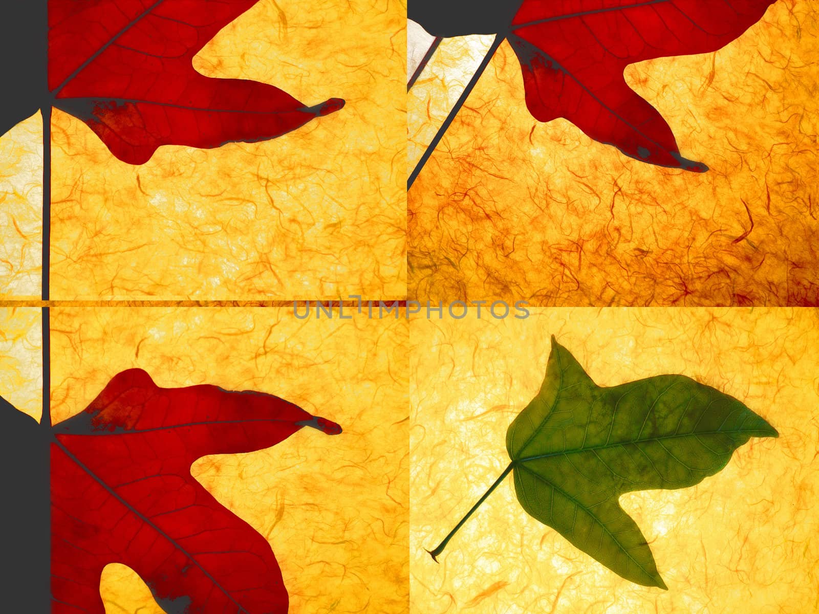 autumn fallen leaves over rice paper texture 