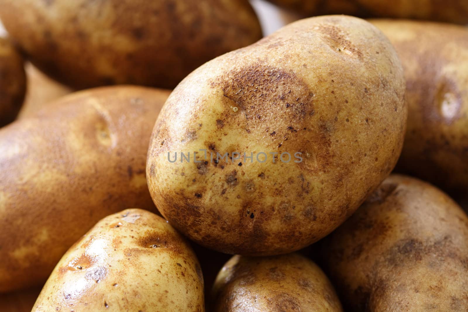 A close up of potatoes