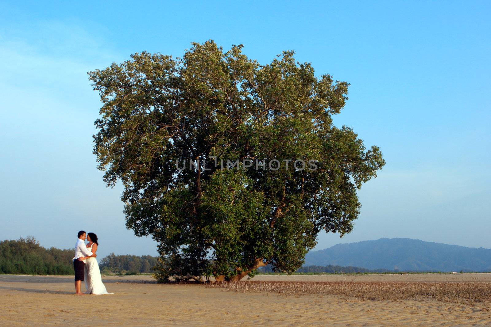 Just Married: Happy bride and groom on the beach.