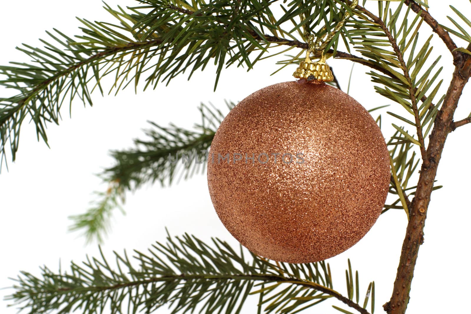 Gold Christmas ornament hanging on a tree