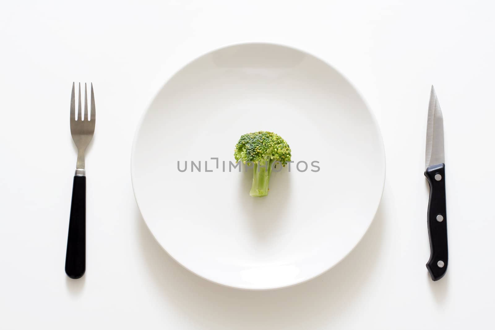 A broccoli on a plate, can be used for health theme