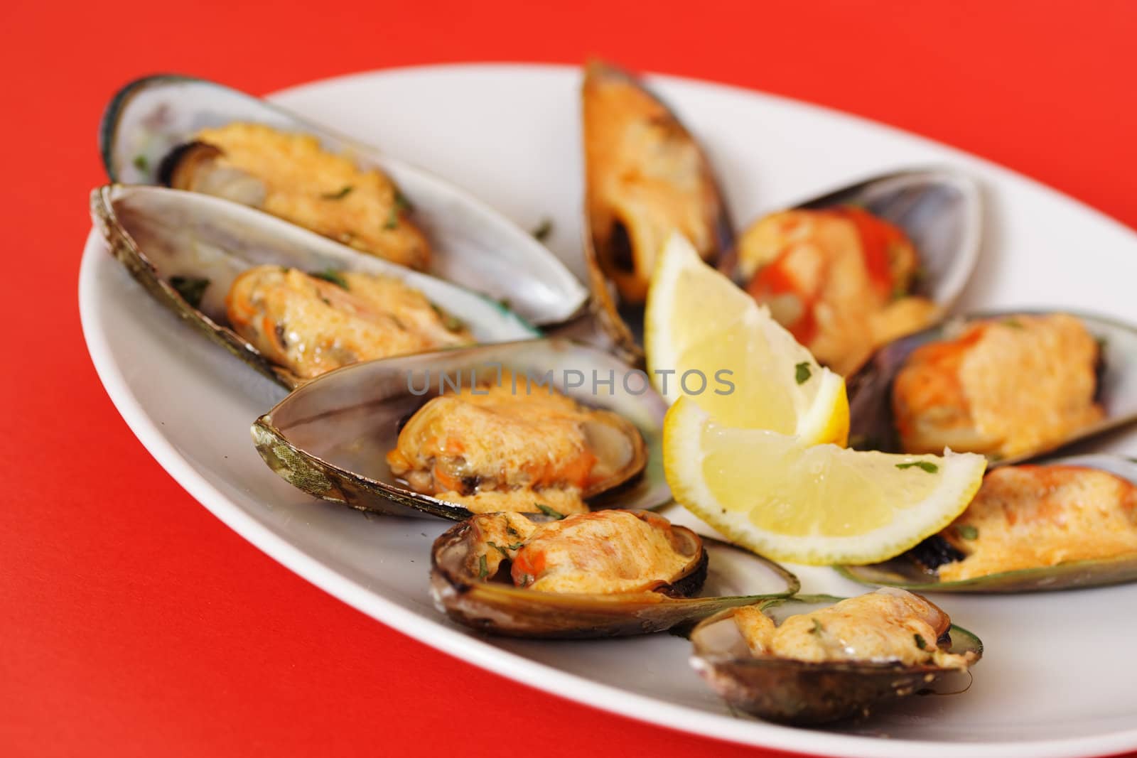 Mussels by aremafoto