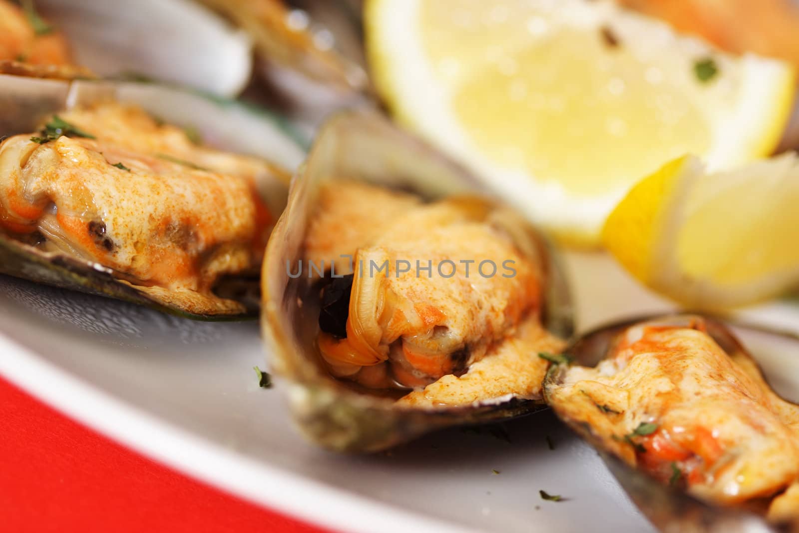 Mussels by aremafoto