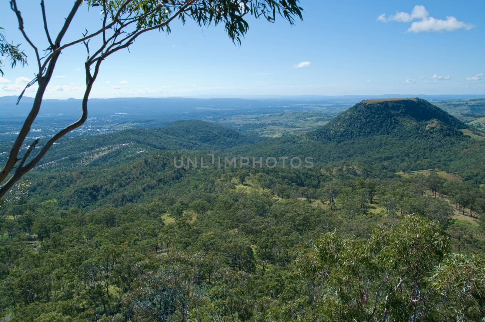 looking out over the forests and hills at toowoomba