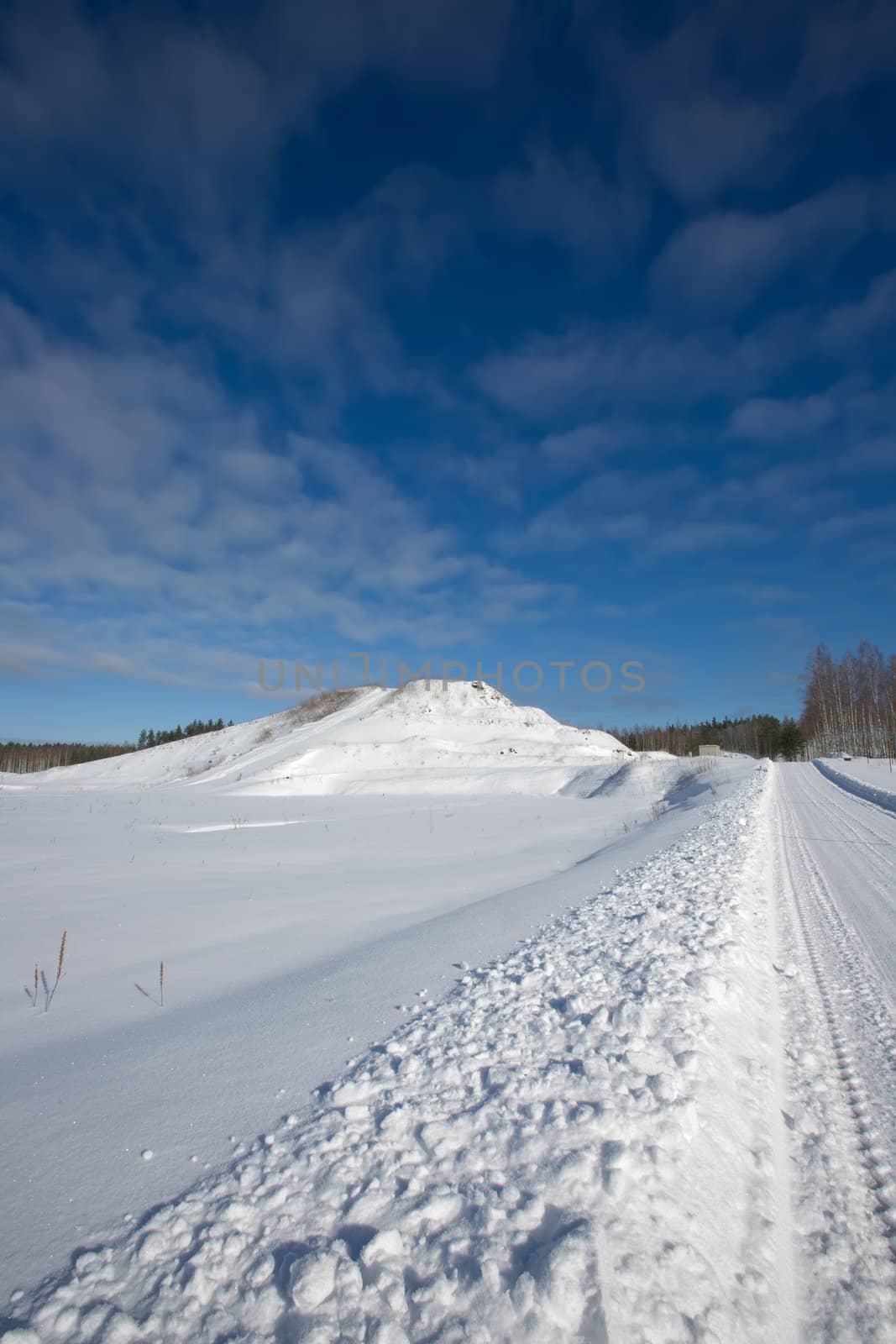 Winter