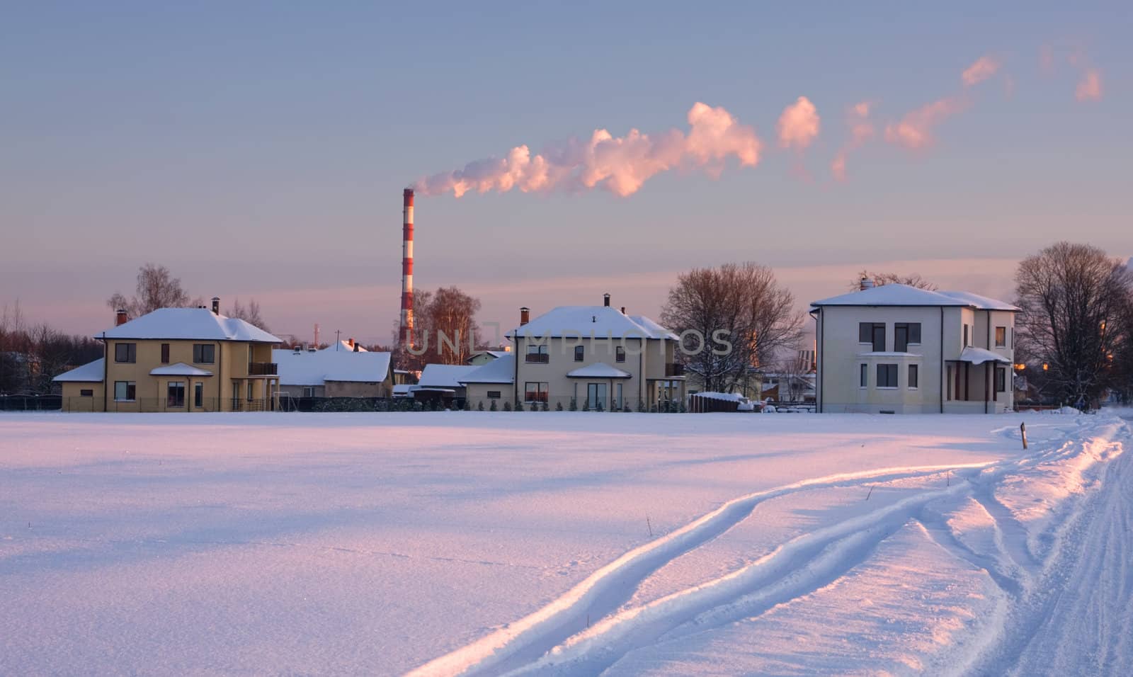 Winter