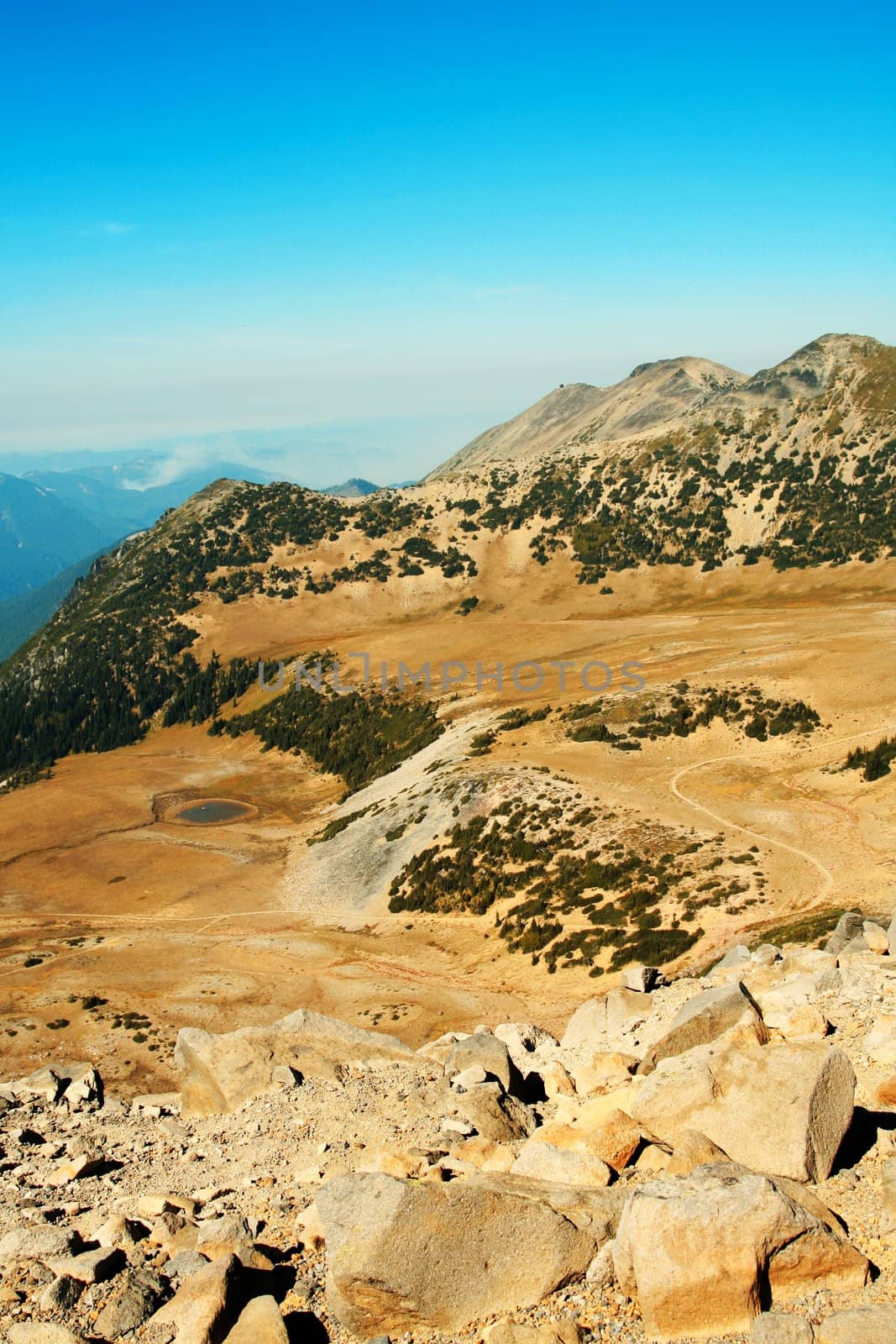 Scenic view in Mount Rainier