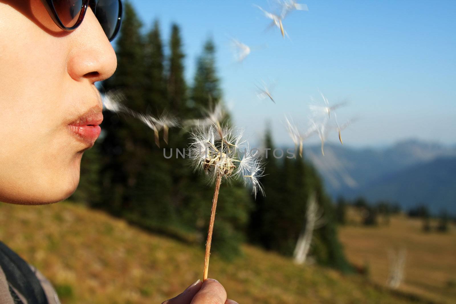 Make a wish by aremafoto