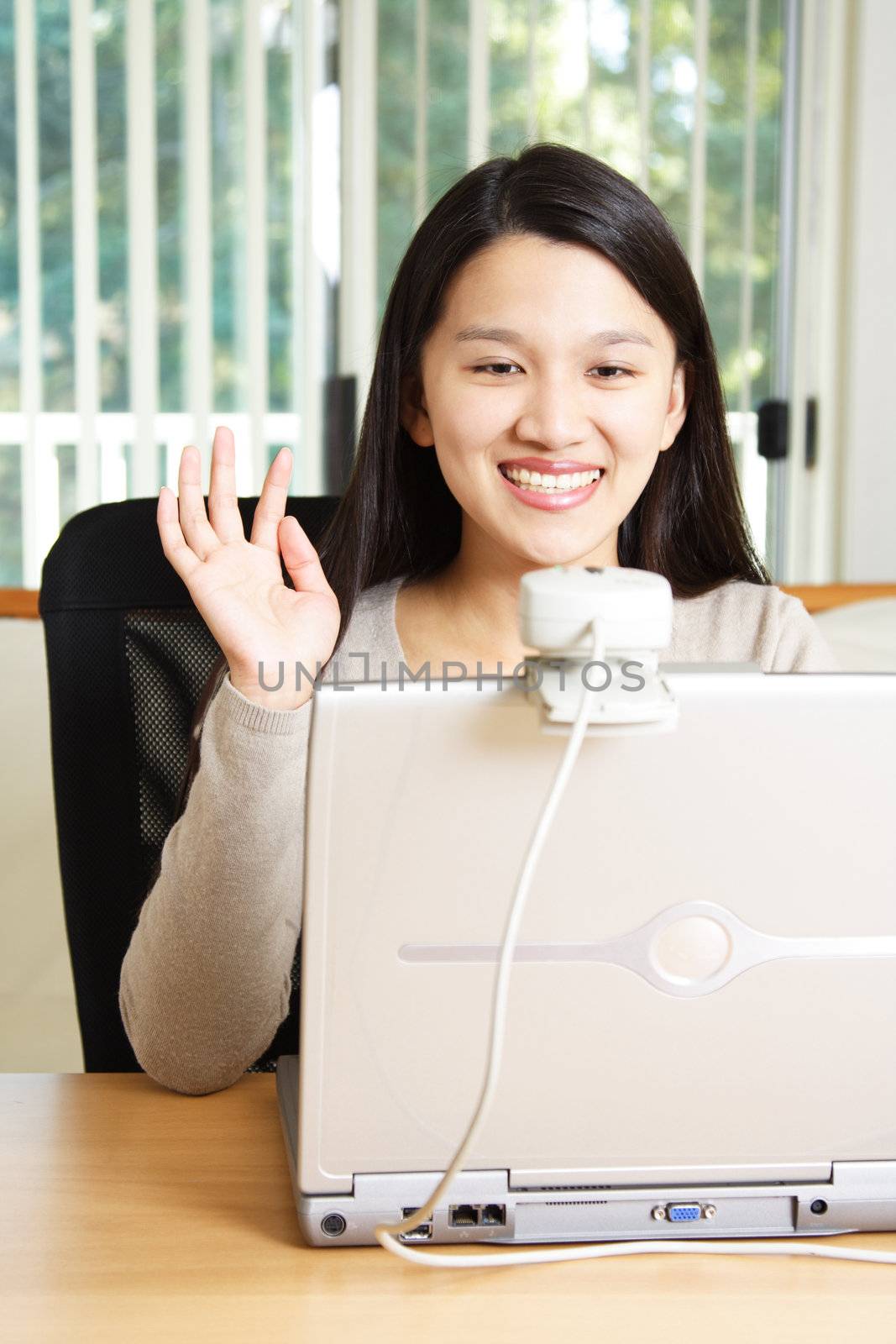 A businesswoman using webcam for meeting