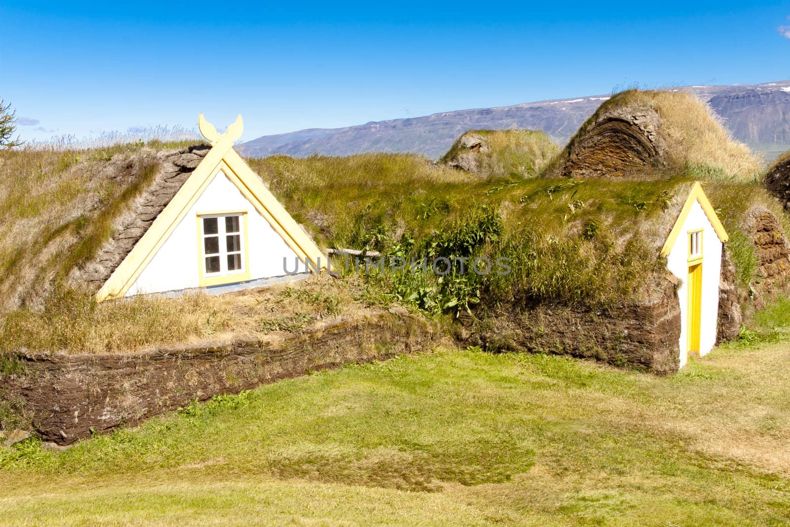 Old typical icelandic farm. Green grass on the roof.