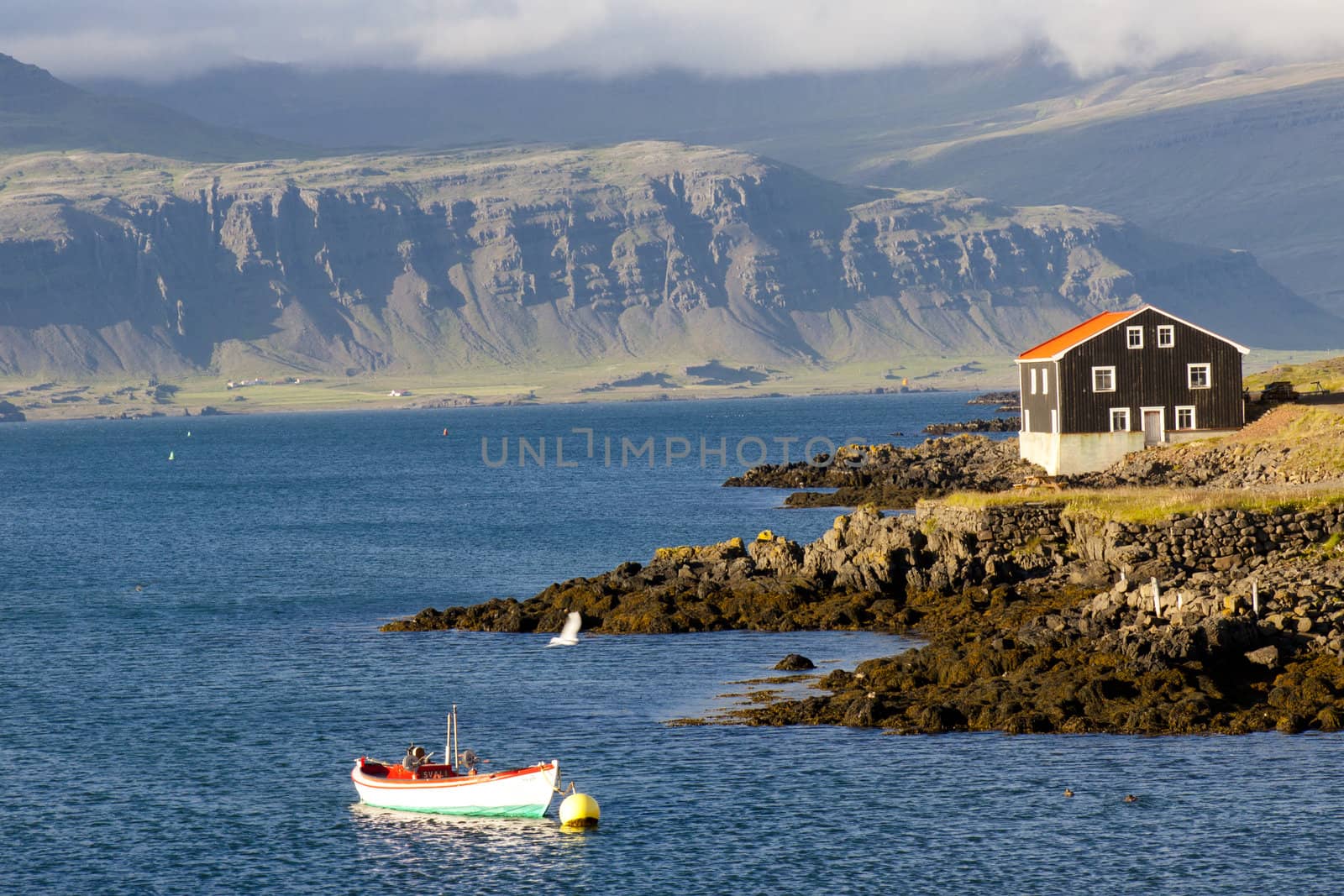 Djupivogur small fishing town in Iceland. Summer day.