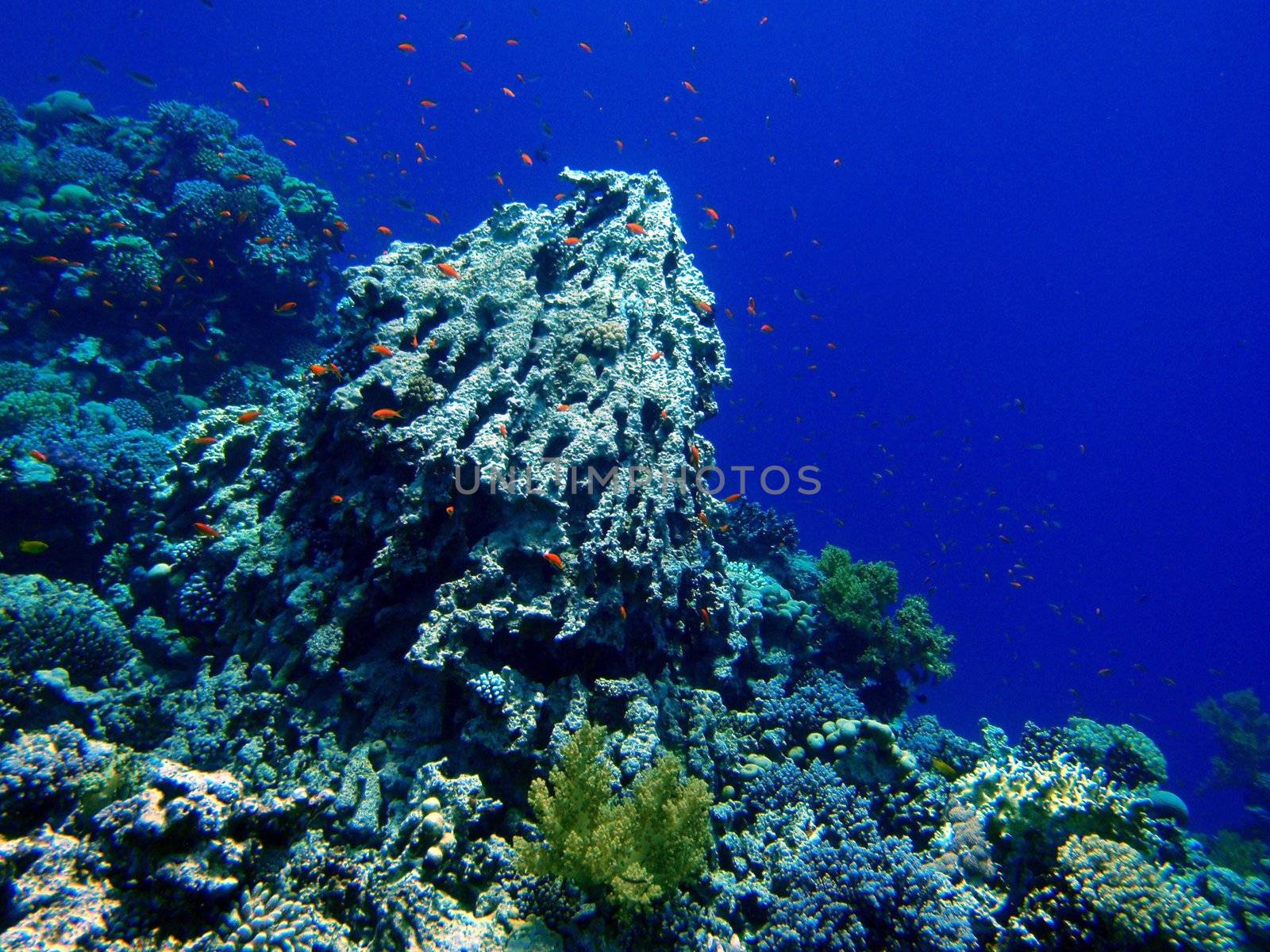 Red sea, Dahab, Egypt