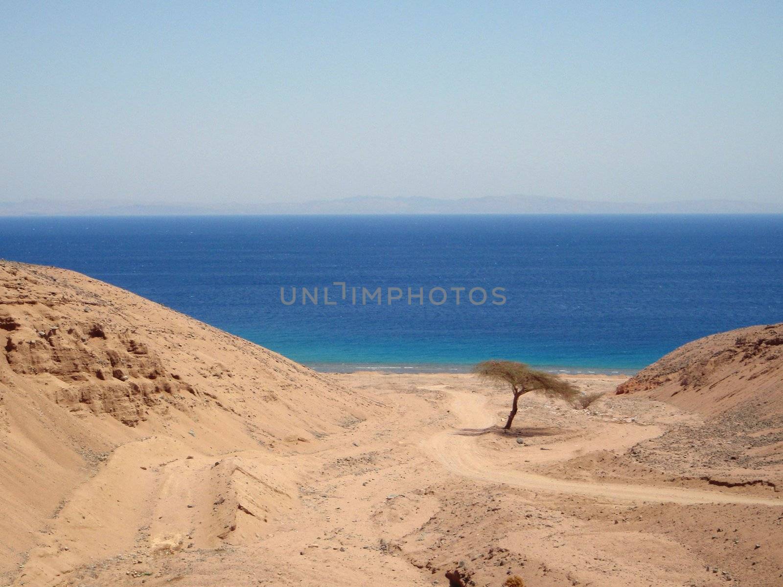 Red sea, Dahab, Egypt