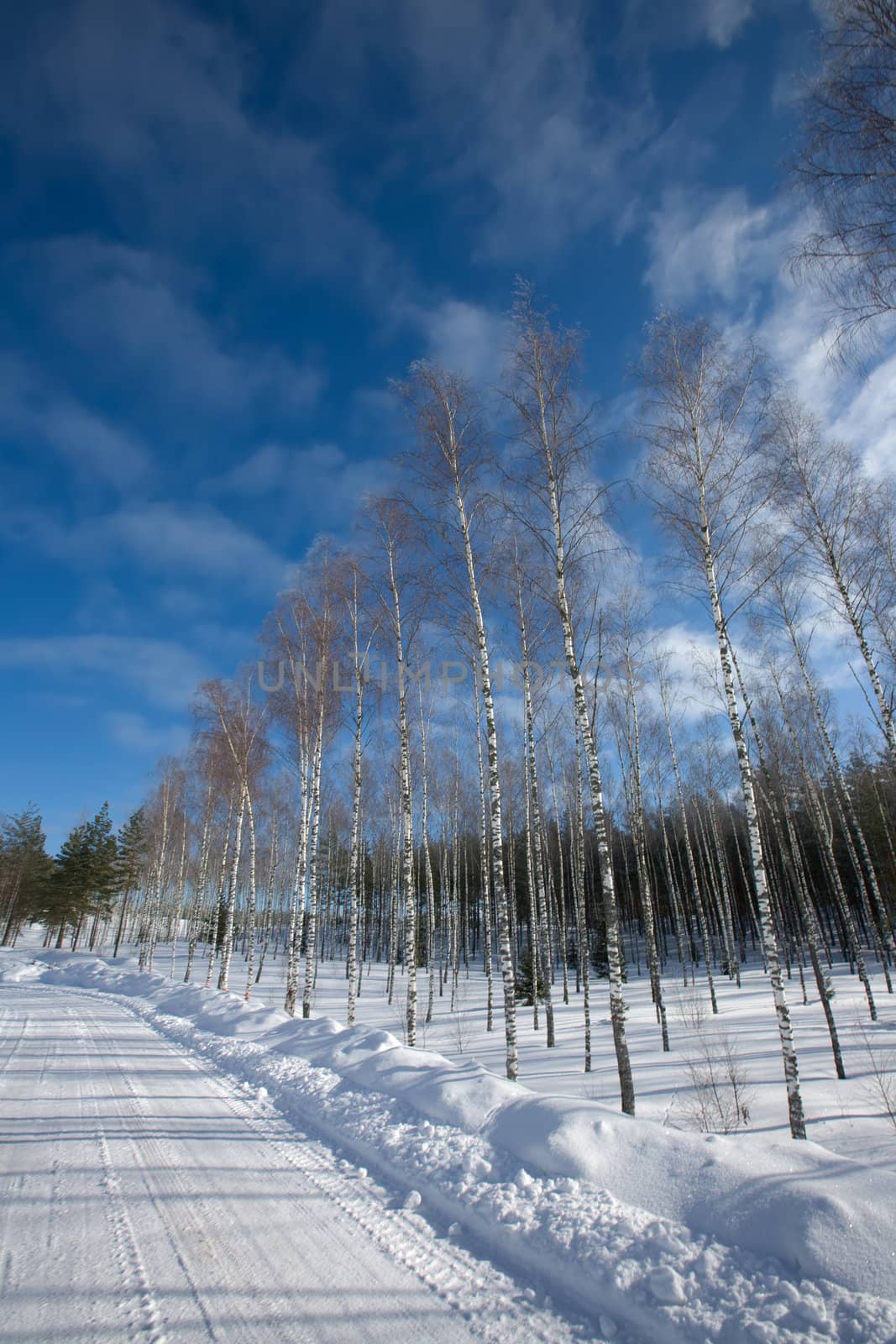 snow winter