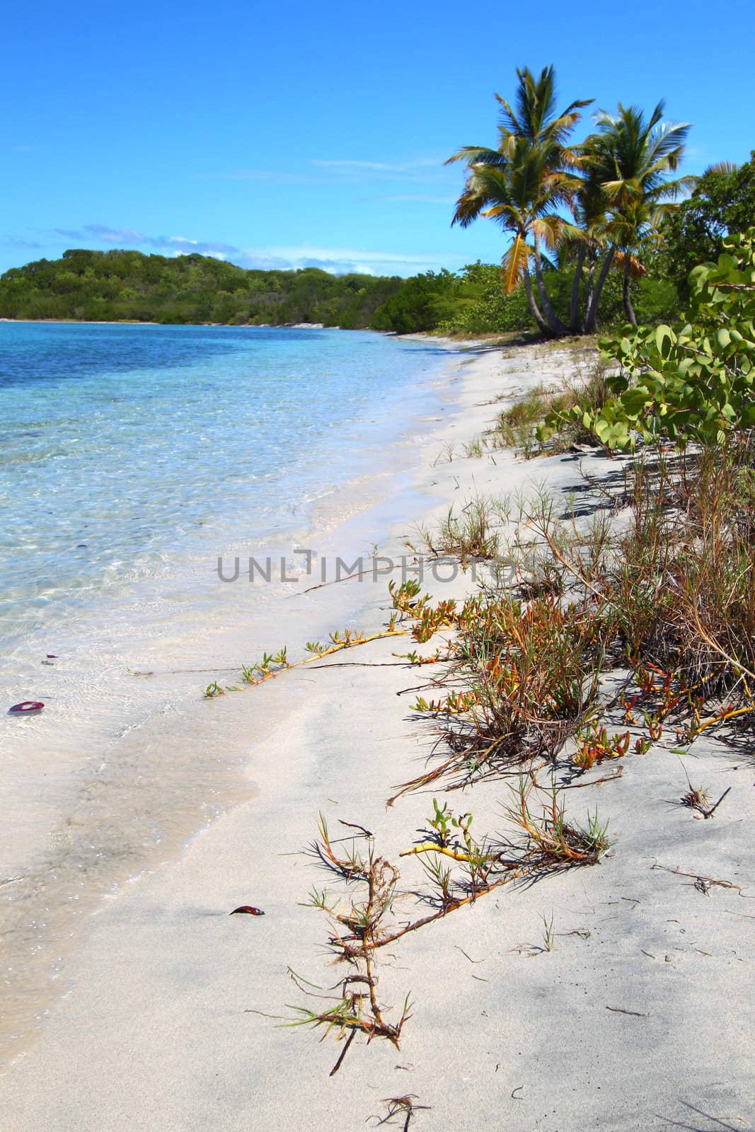 A beautiful beach in the British Virgin Islands.