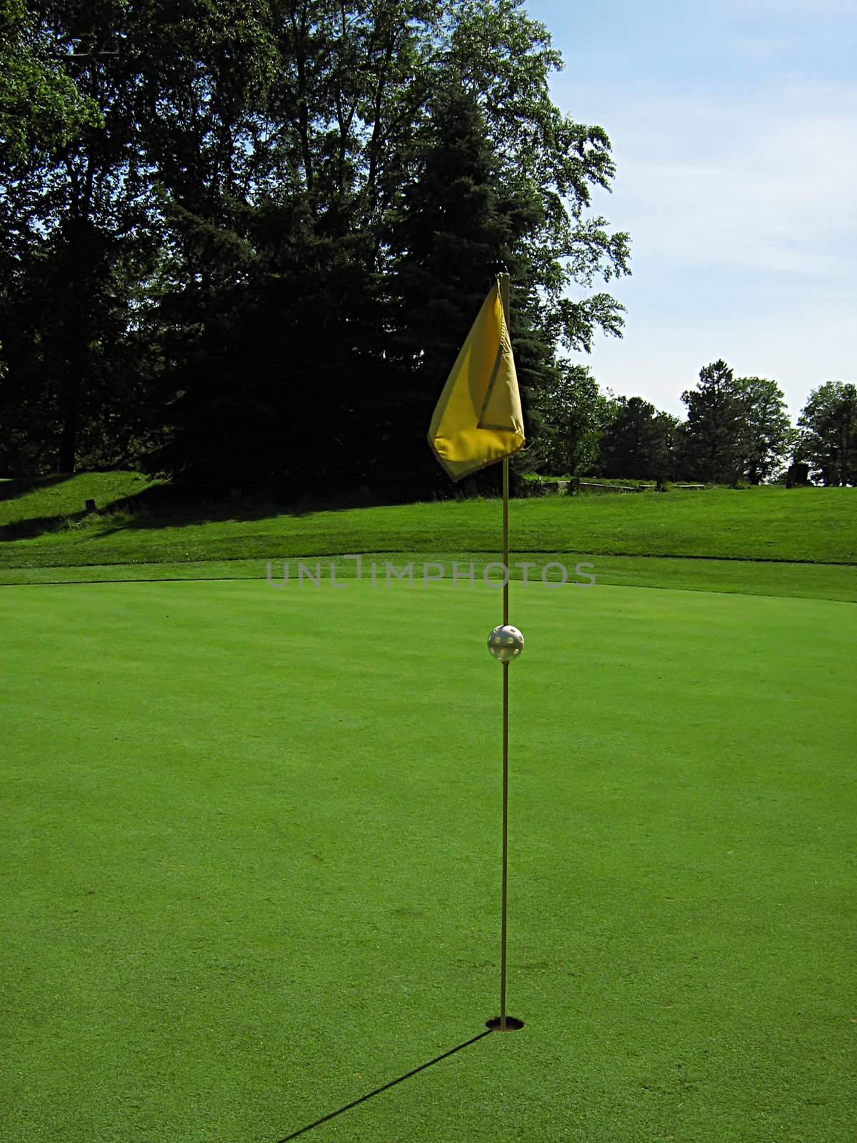 A photograph of a golf course in the afternoon.