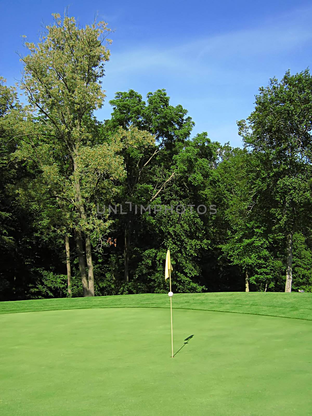 A photograph of a golf course in the afternoon.