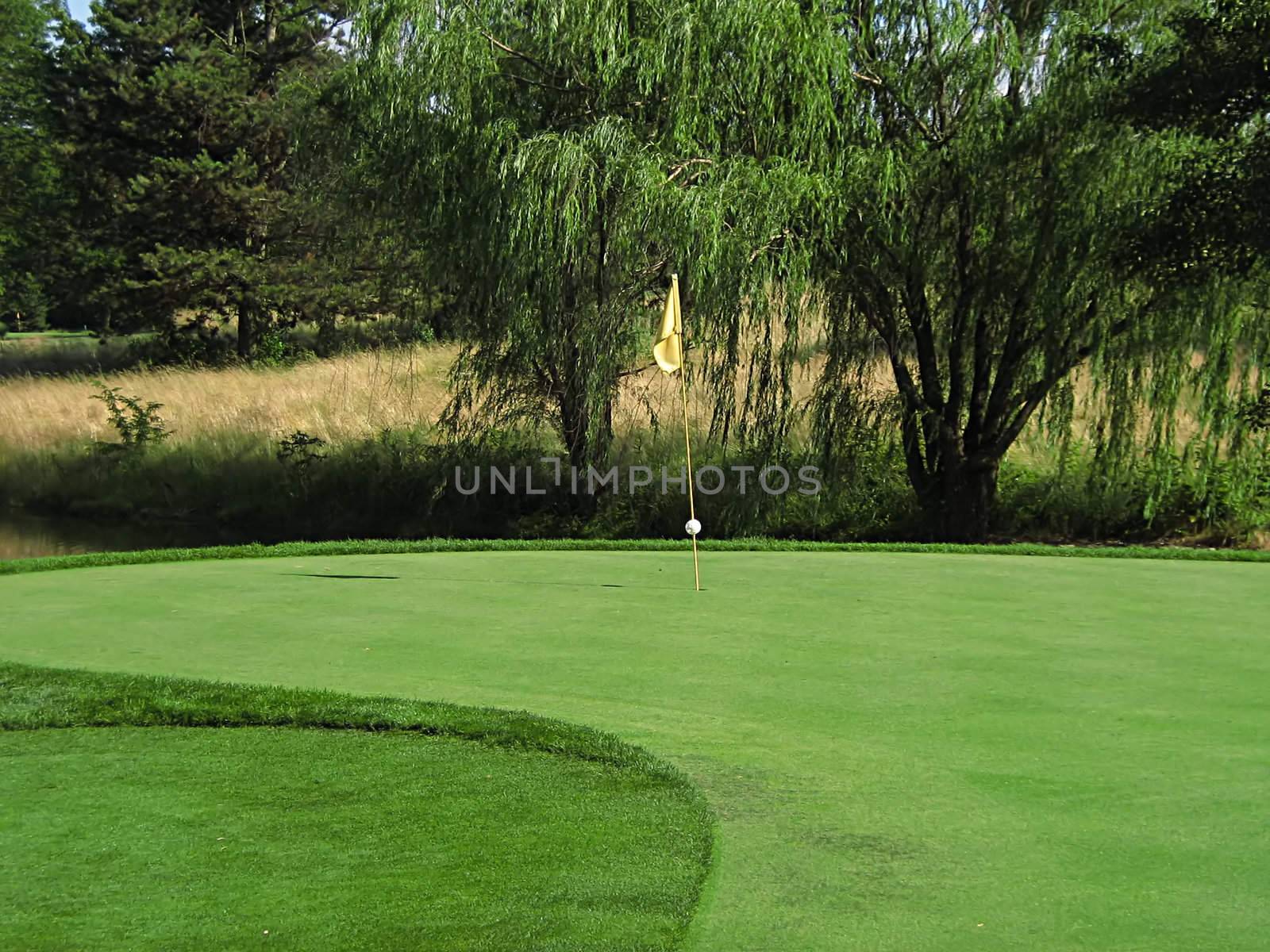 Golf Course by llyr8