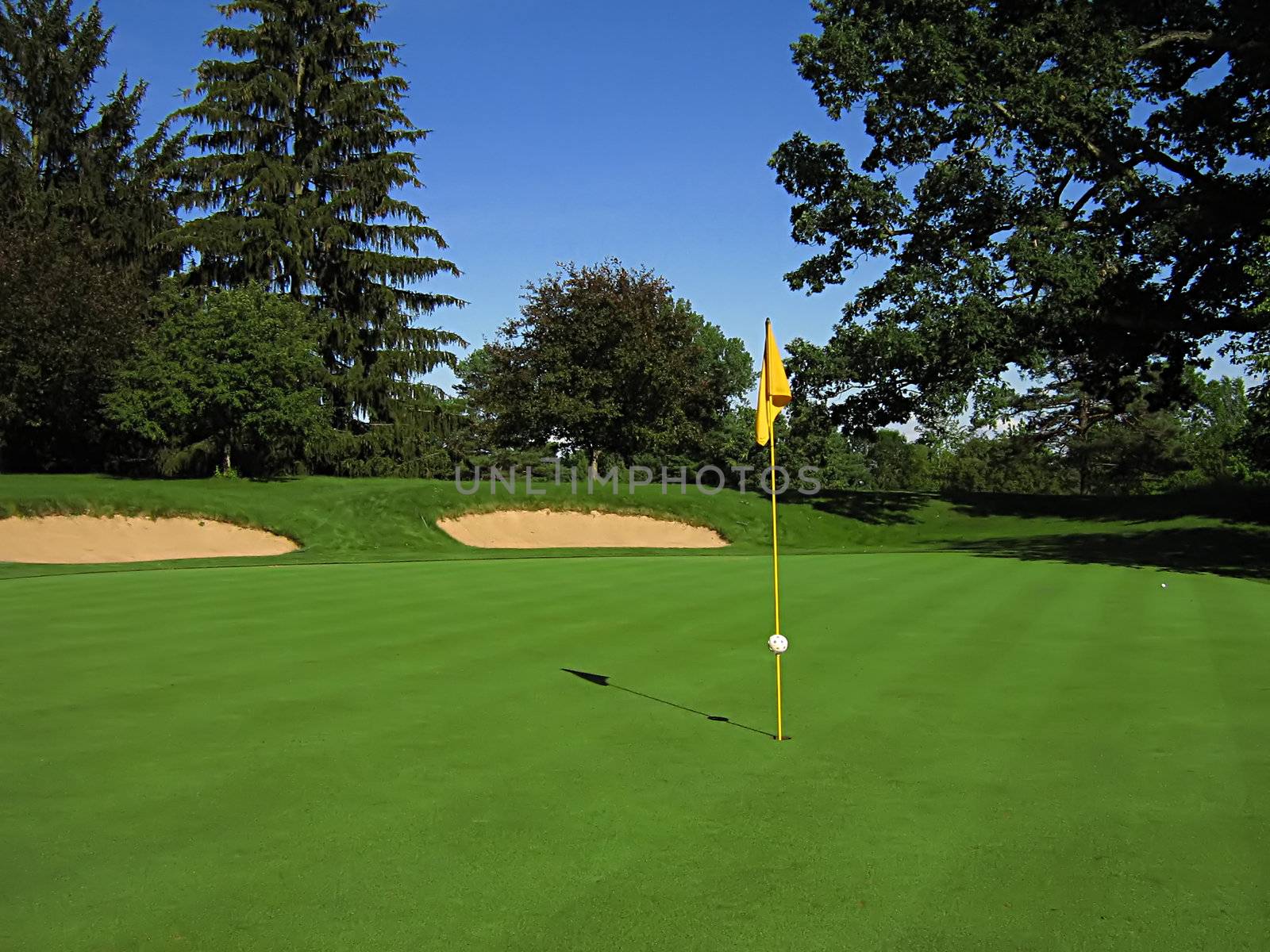 A photograph of a golf course in the afternoon.