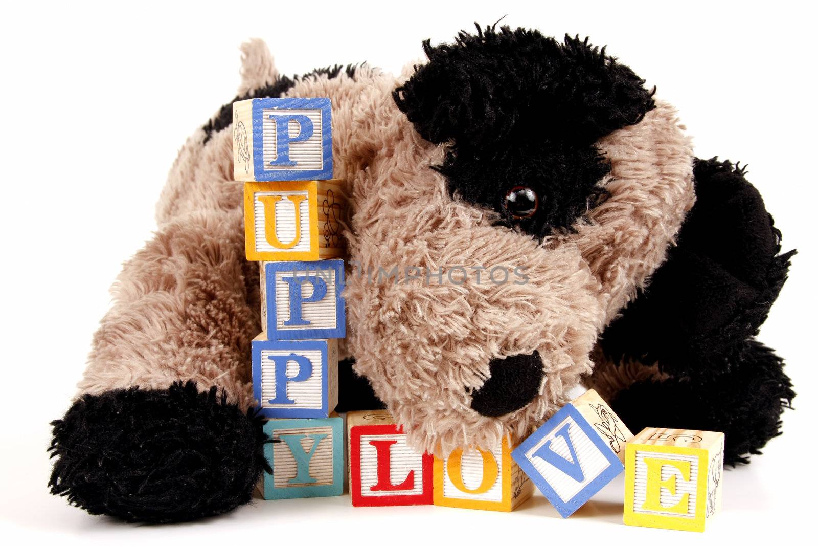 Stuffed Puppy dog with childrens blocks spelling puppy love.