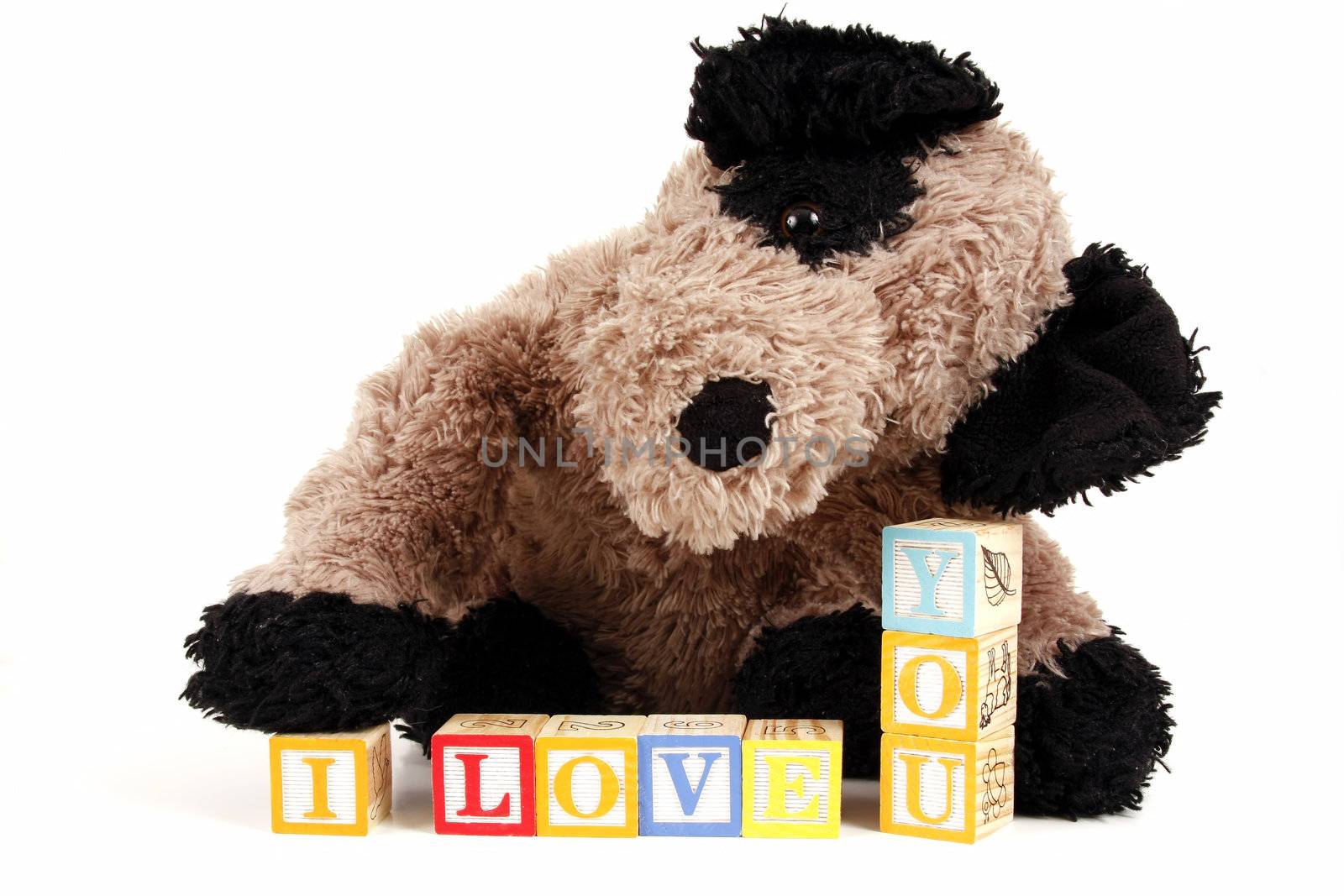 Stuffed Puppy dog with childrens blocks spelling I love you.
