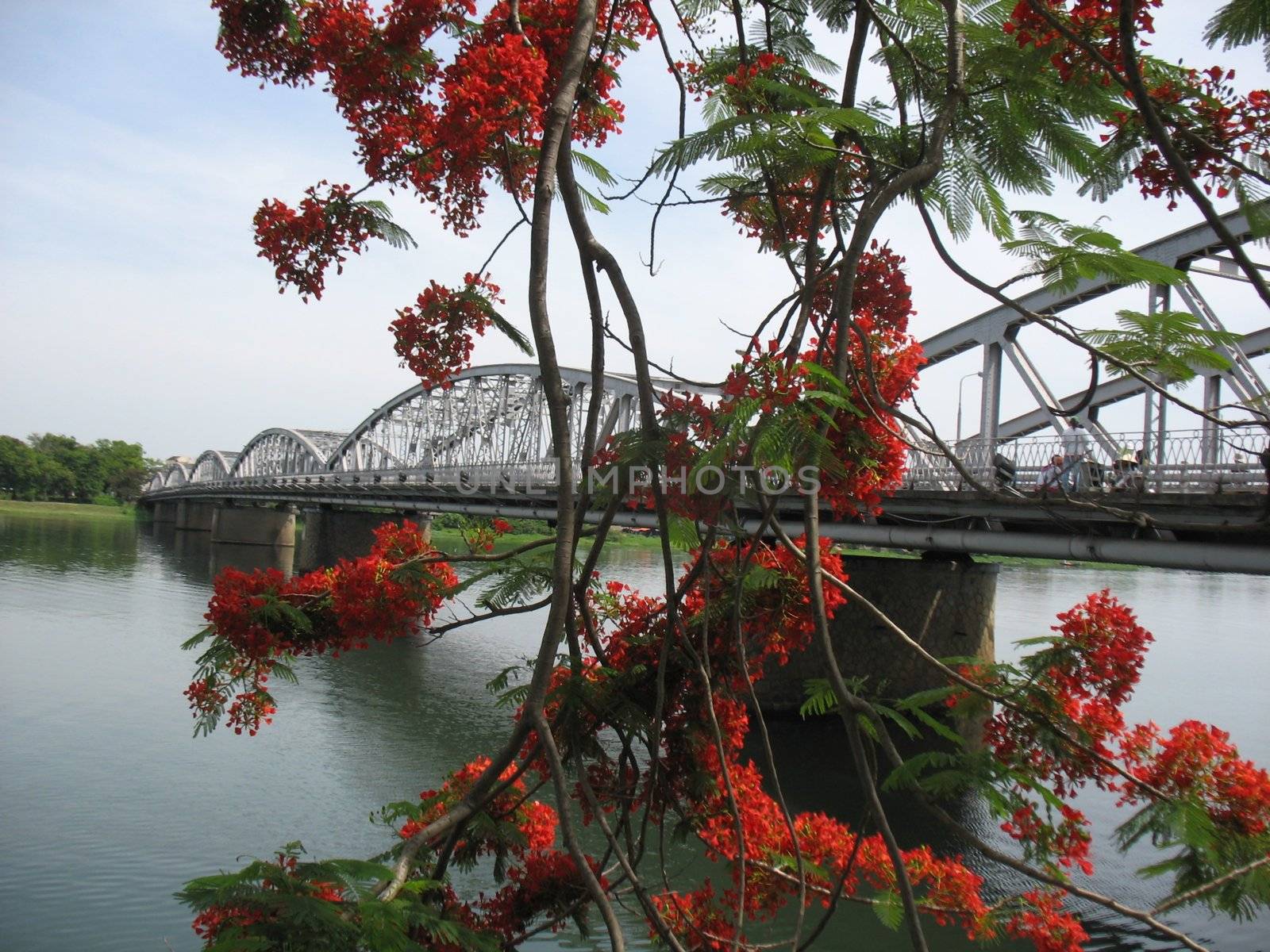 A bridge spanning the Hue Perfume River. In the foreground a Flamboyant flower.