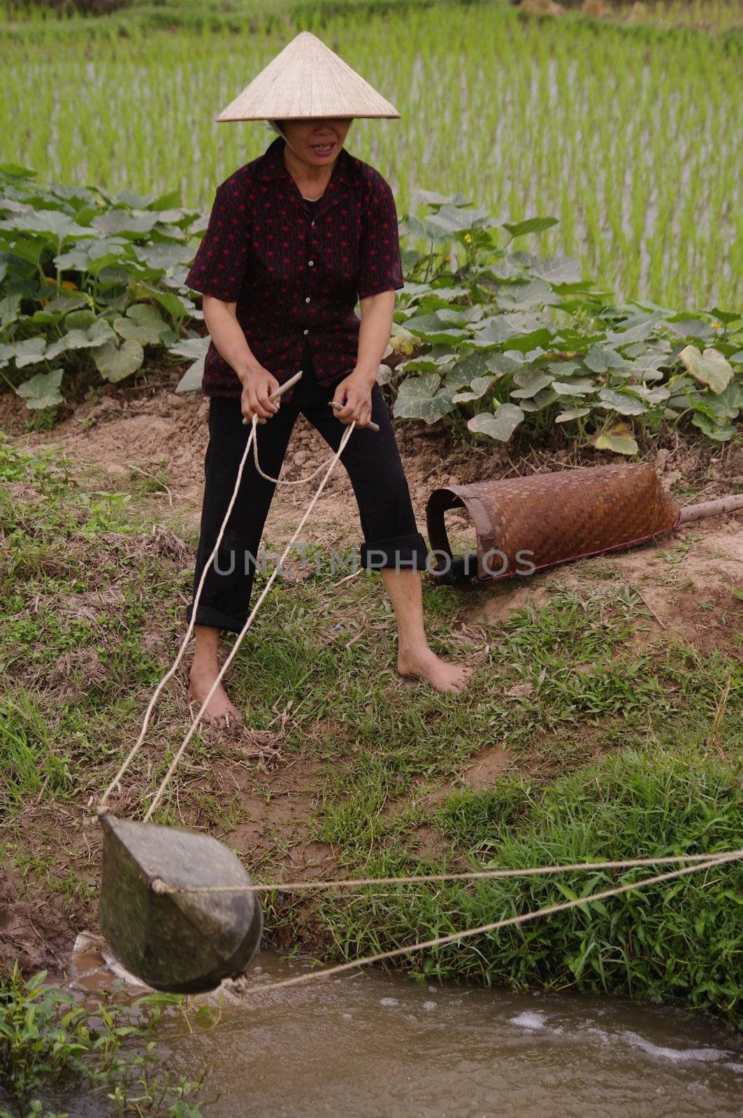 Irrigation Manual of ricefield