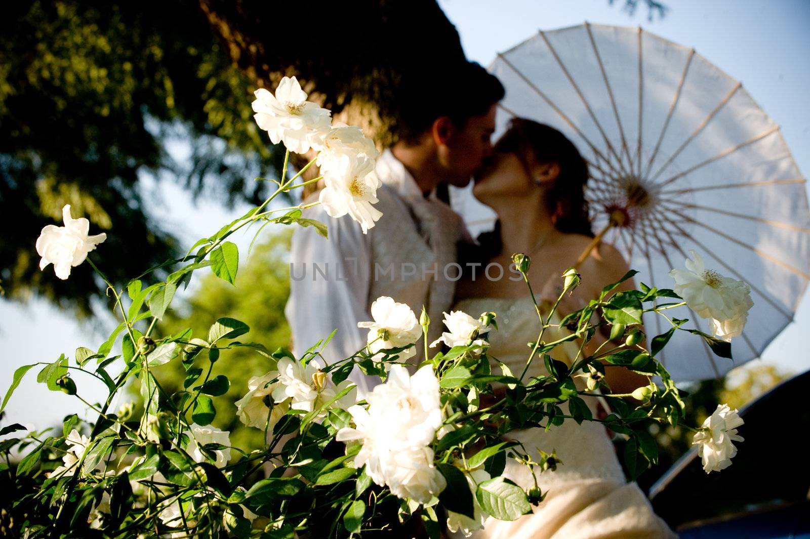 just married couple standing and kissing in white flower bed under a tree in nature on a sunny day