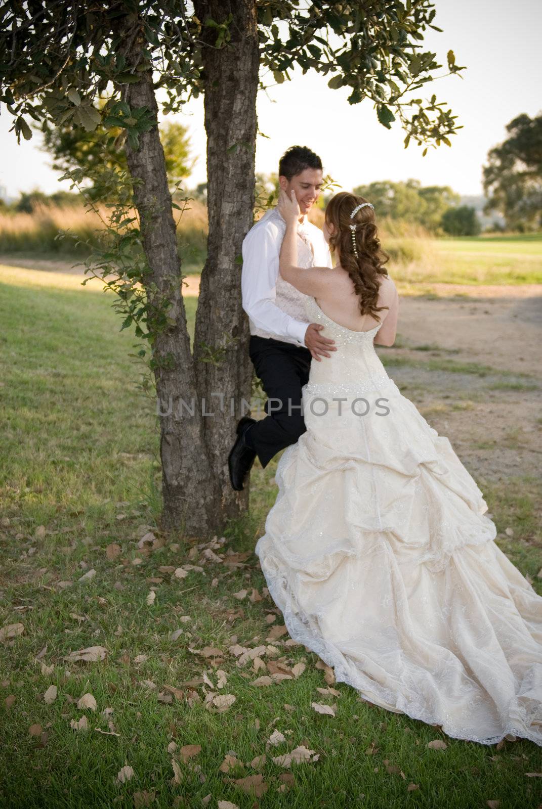just married couple standing and kissing against a tree in the shade on a sunny day